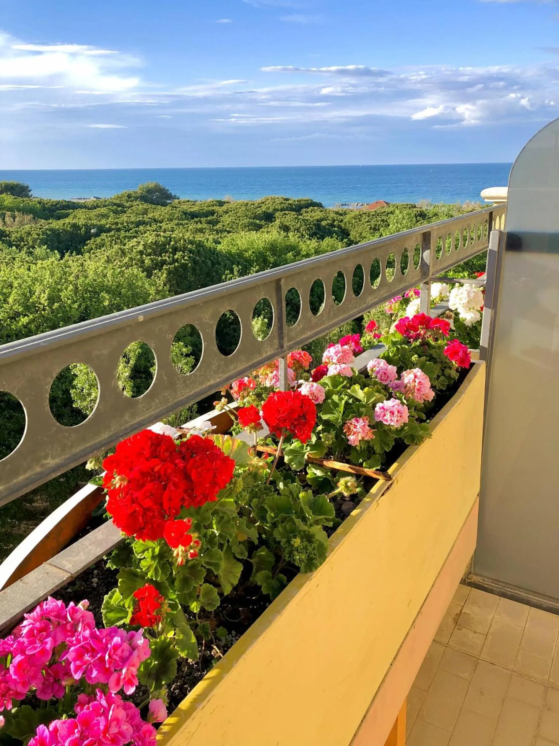 Balcony/Terrace in Hotel Caravel B&B