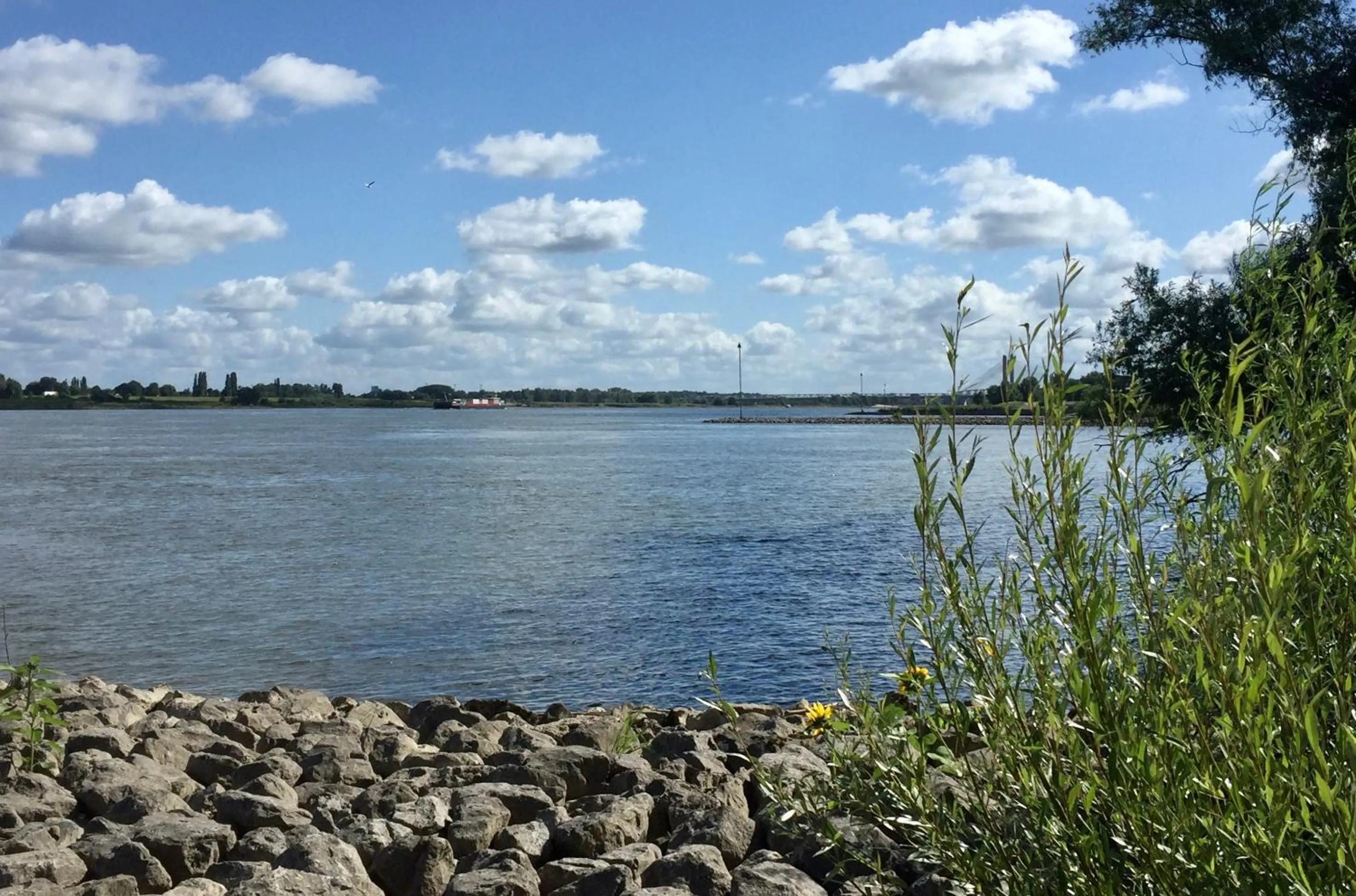 Natural landscape in B&B Gamerenwaard