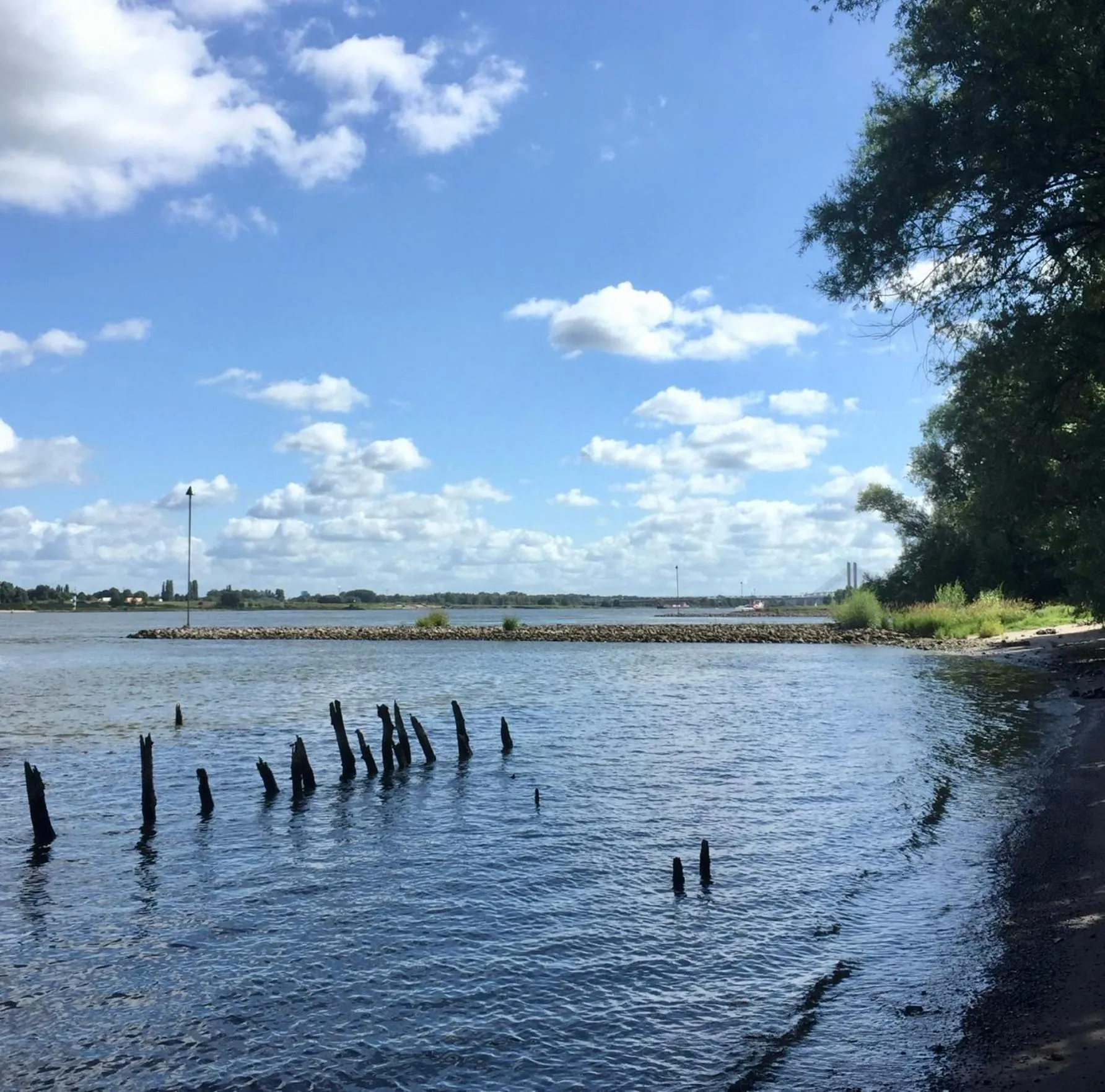 River view in B&B Gamerenwaard