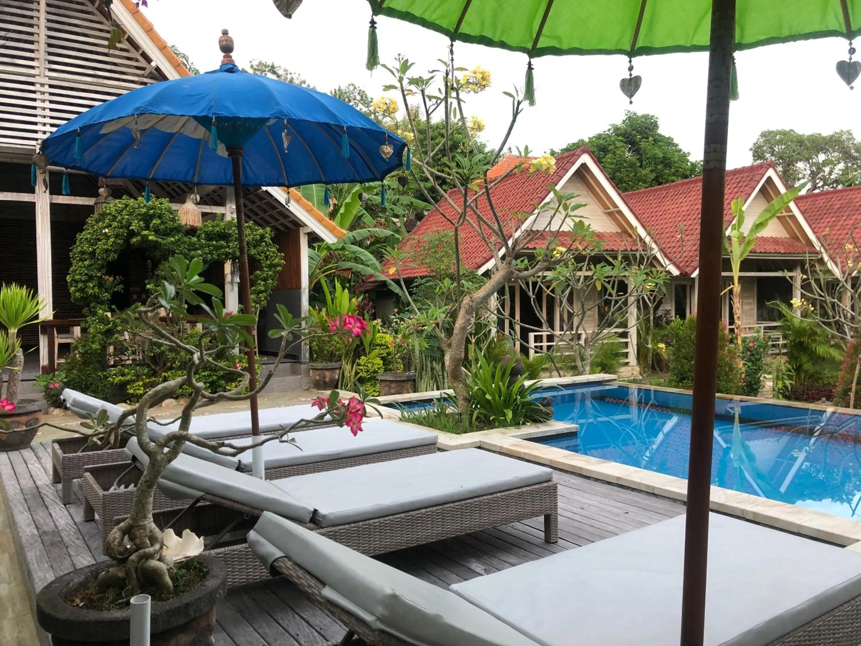 Swimming pool in Le Biu garden View