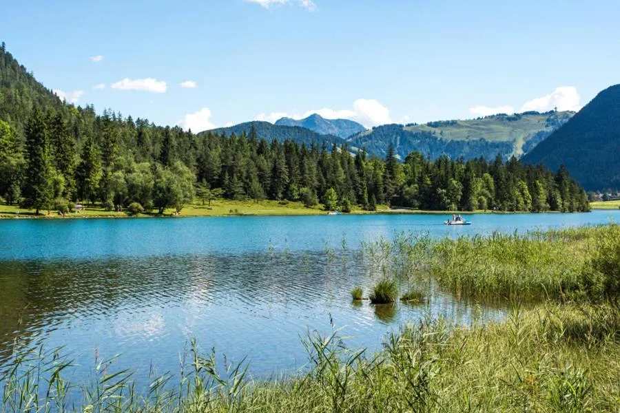 Lake view in Hotel Sonne