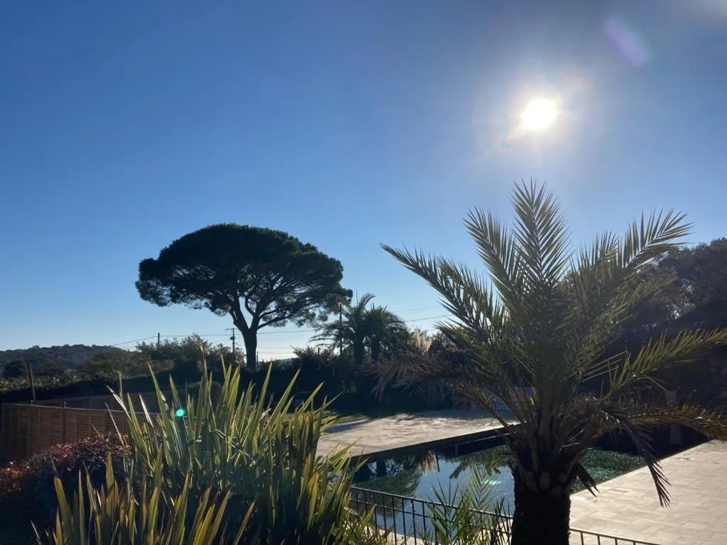 Pool view in BASTIDE DE RAMATUELLE