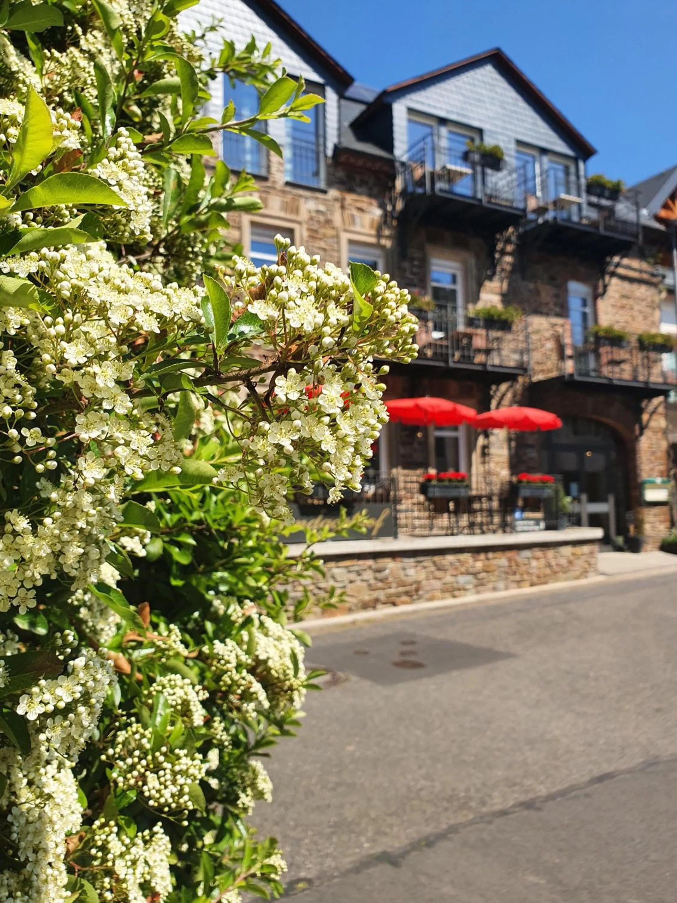 Property building in Landgasthof Winzerscheune