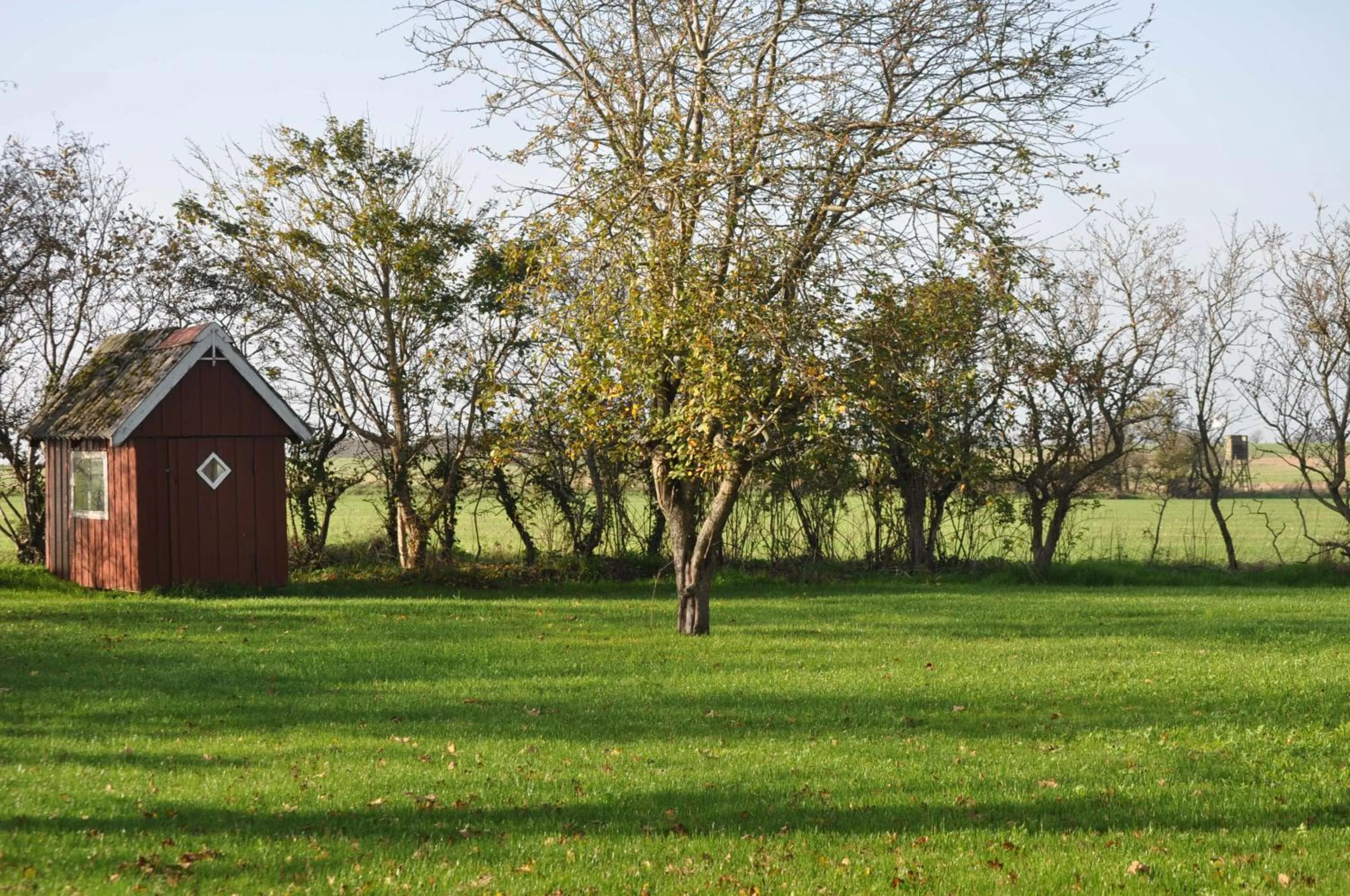 Garden in Bed & Kitchen „Den gamle Skole“ Nr. Sejerslev