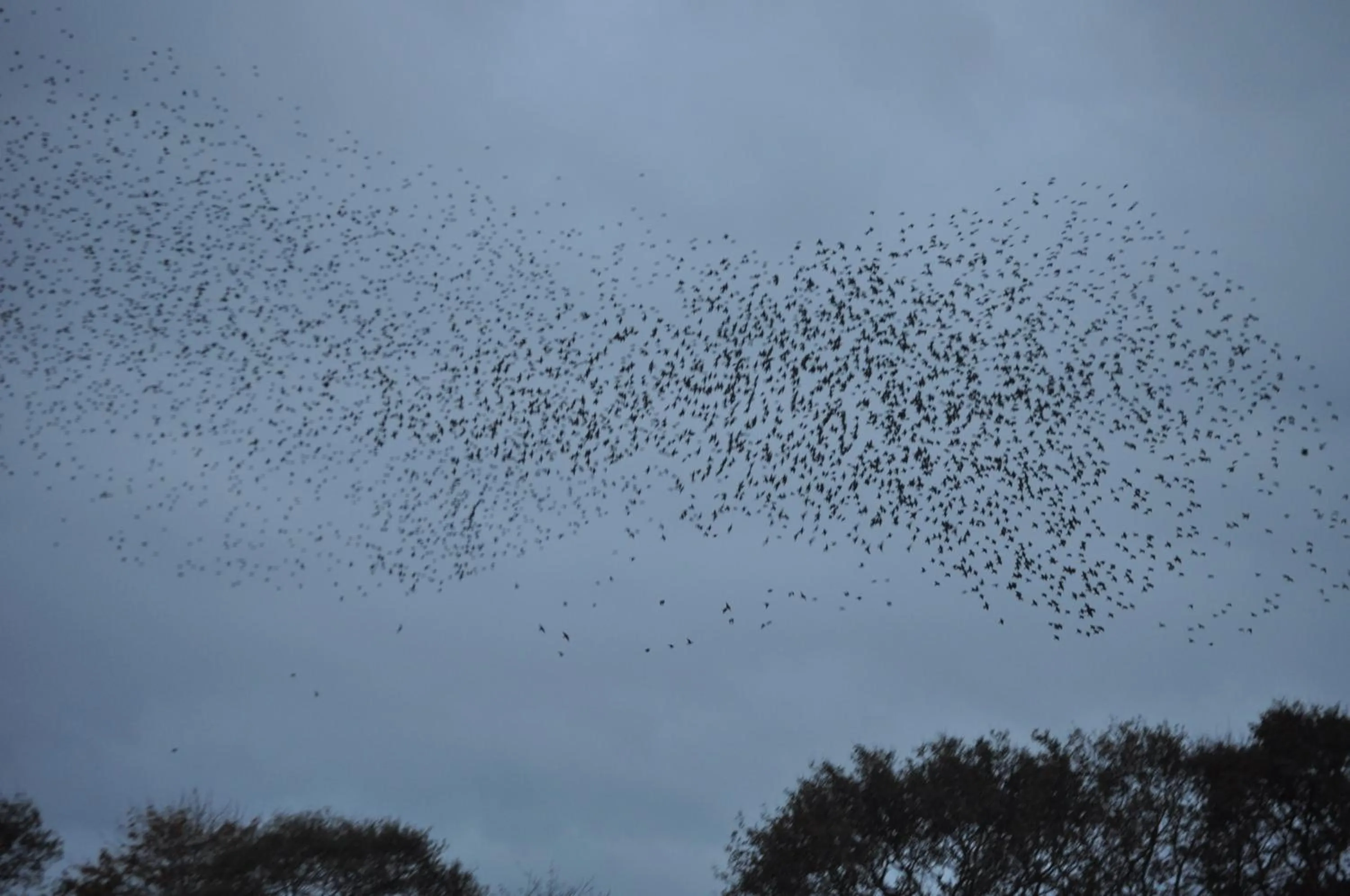 Other in Bed & Kitchen „Den gamle Skole“ Nr. Sejerslev