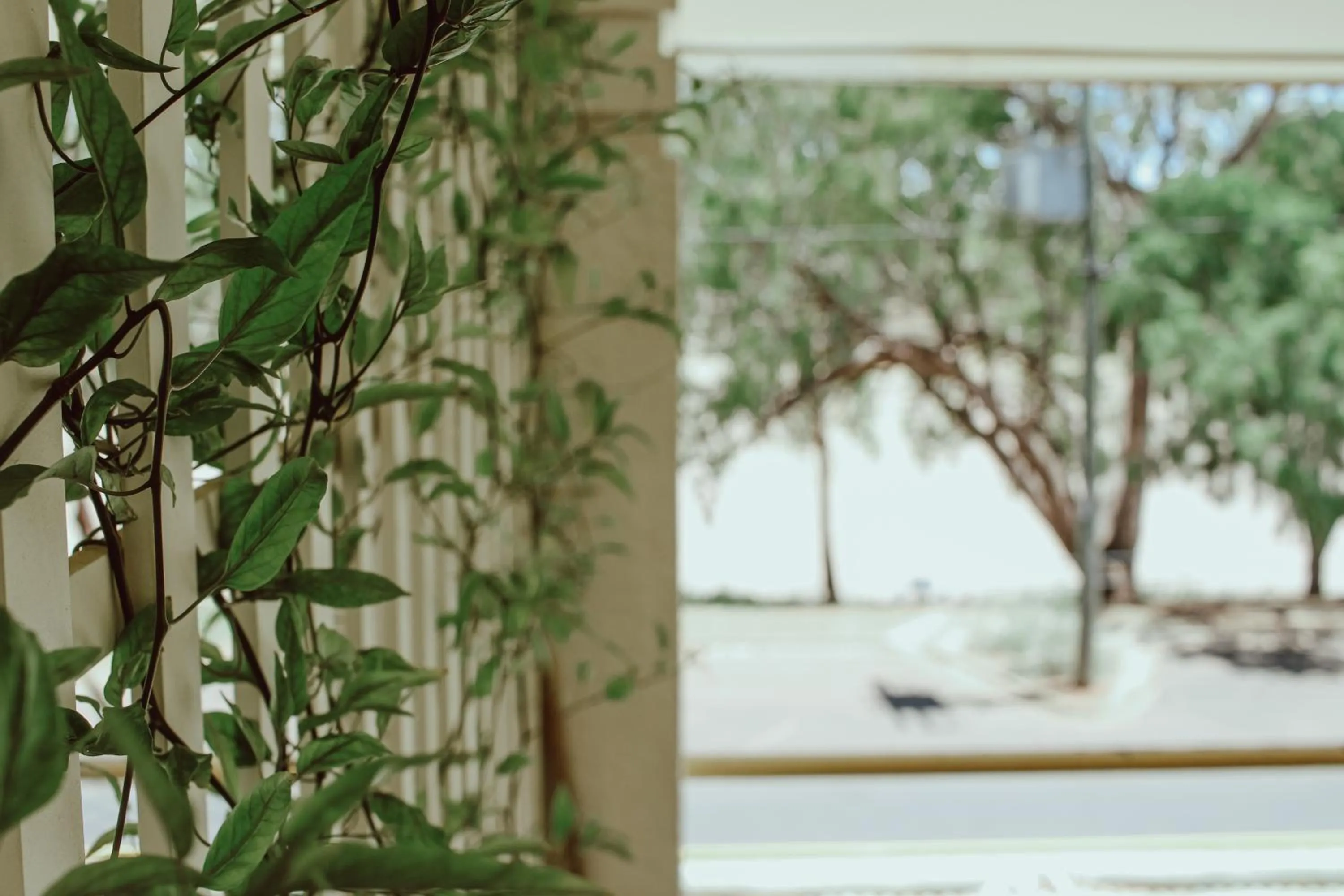 The Australian Hotel St George