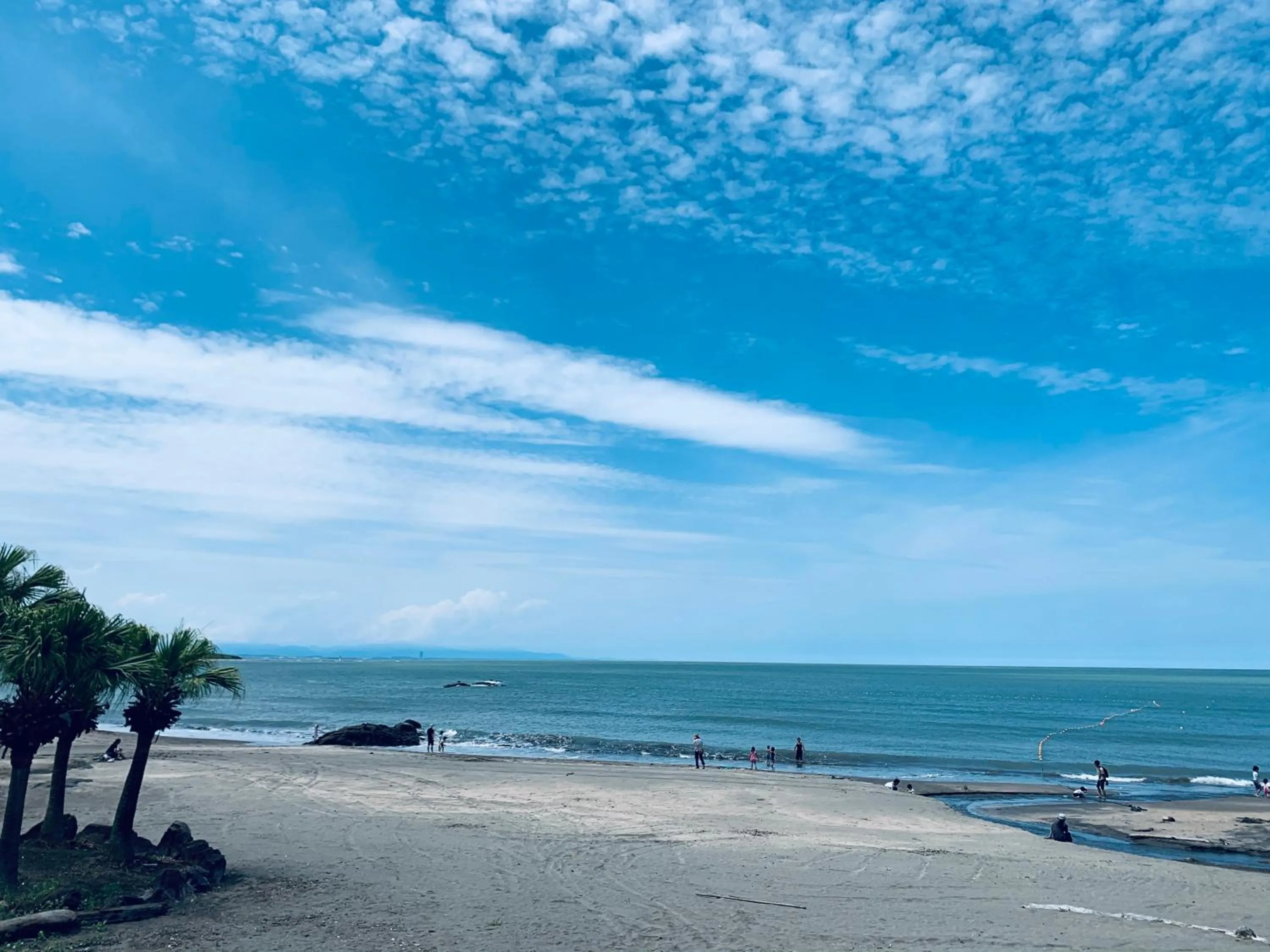 Beach in SHIRAHAMA BEACH GARDEN