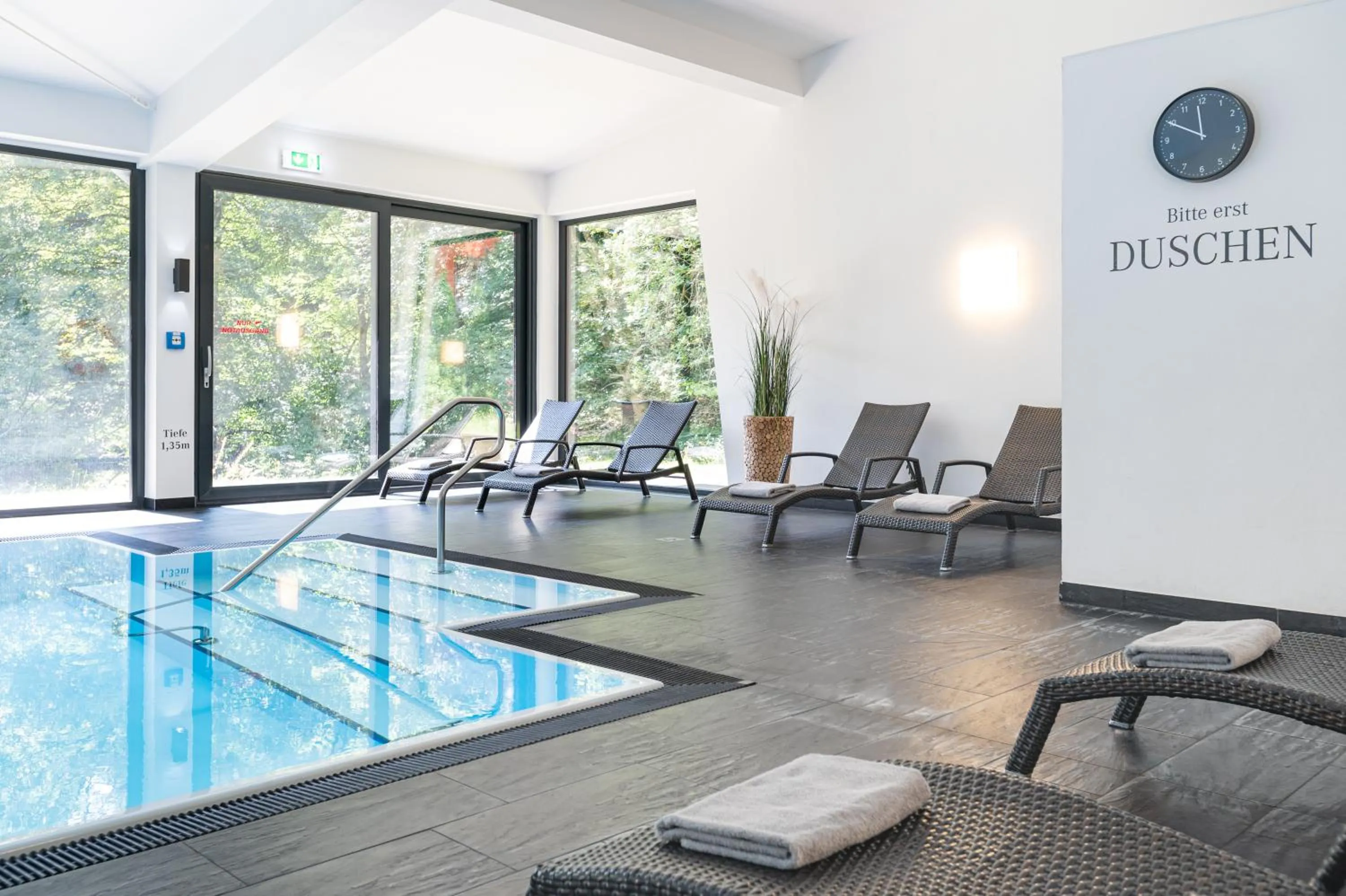 Swimming pool in Waldhotel Berghof