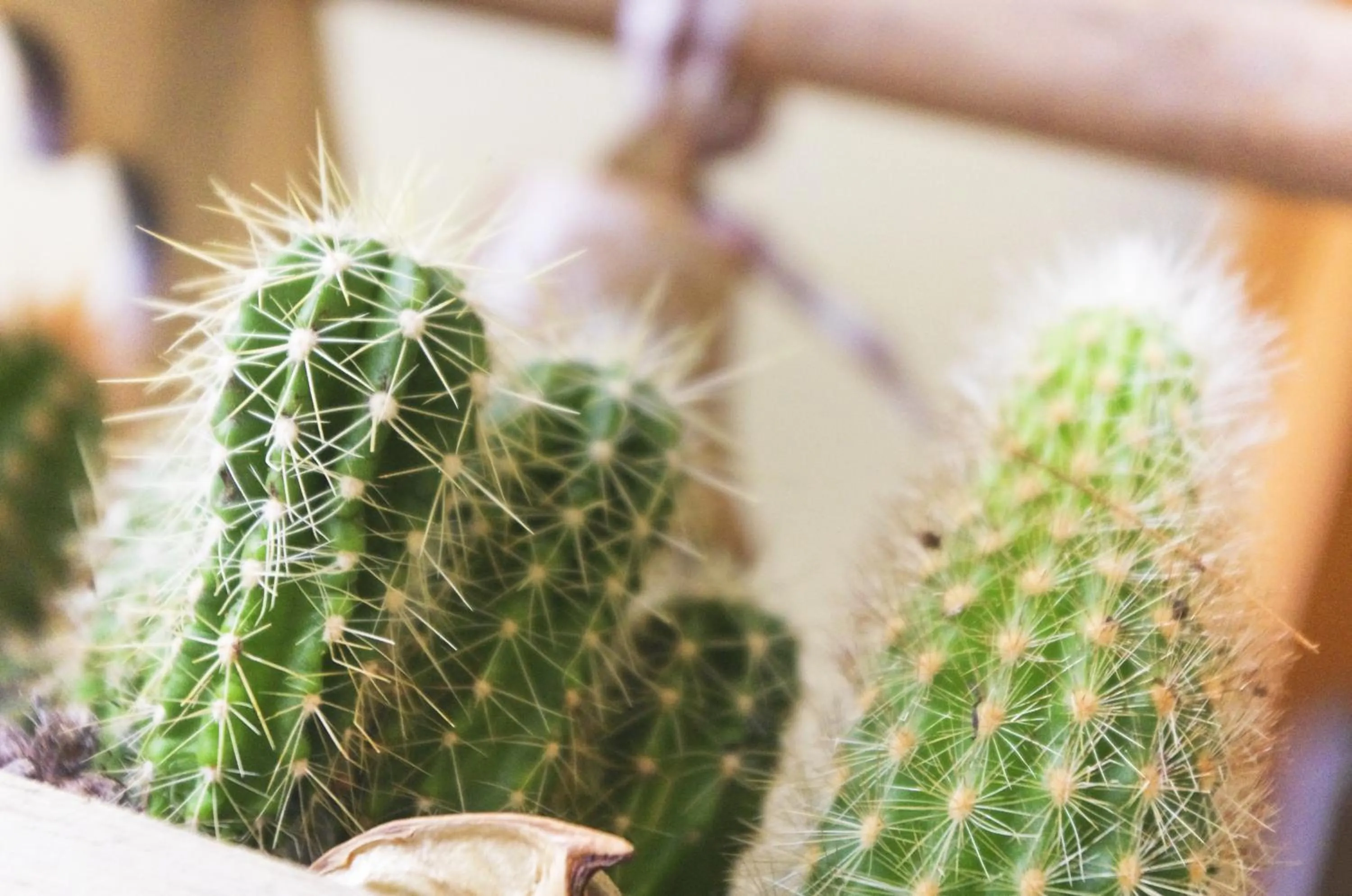 D¿jala - B&B de Charme