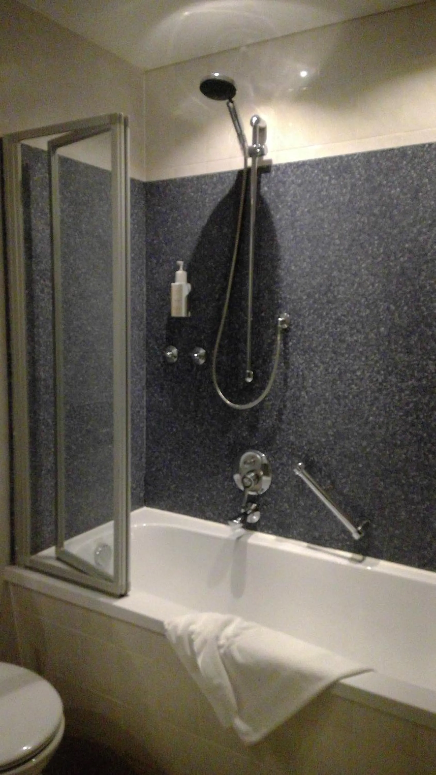 Toilet in Hotel Augsburger Hof