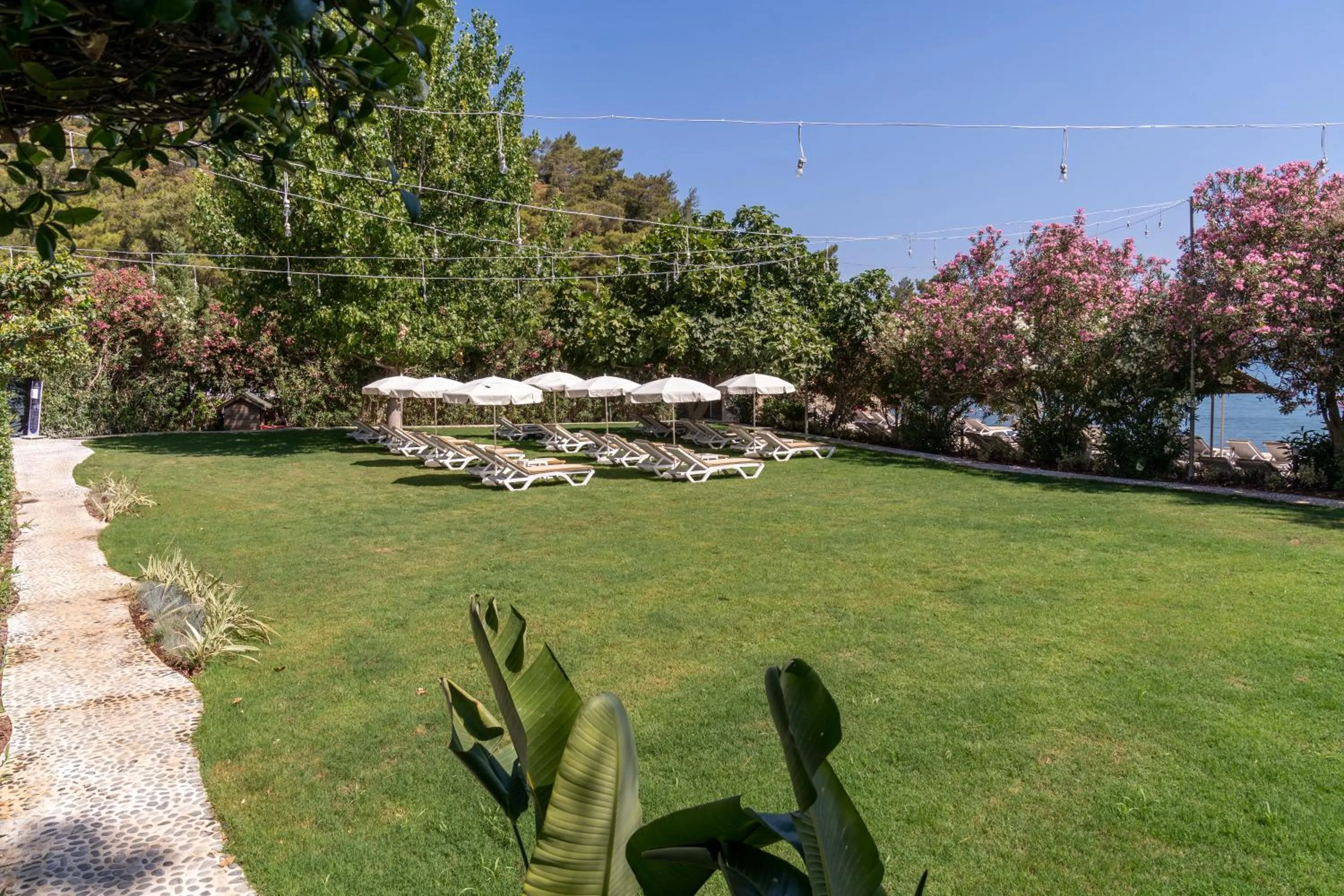 Beach in Alesta Midtown