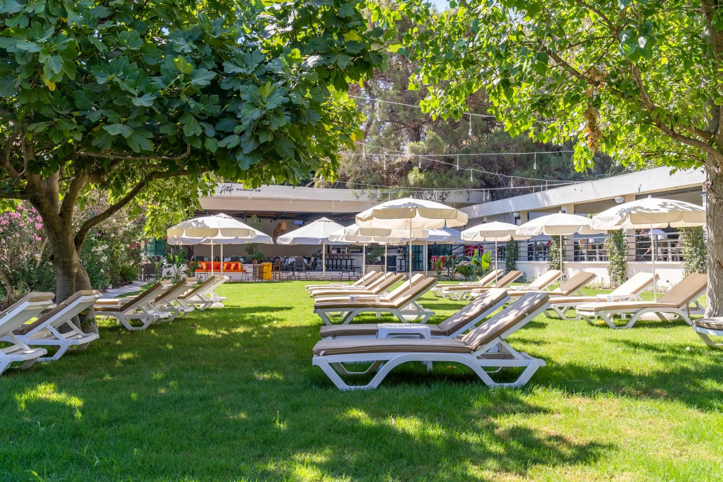 Beach in Alesta Midtown