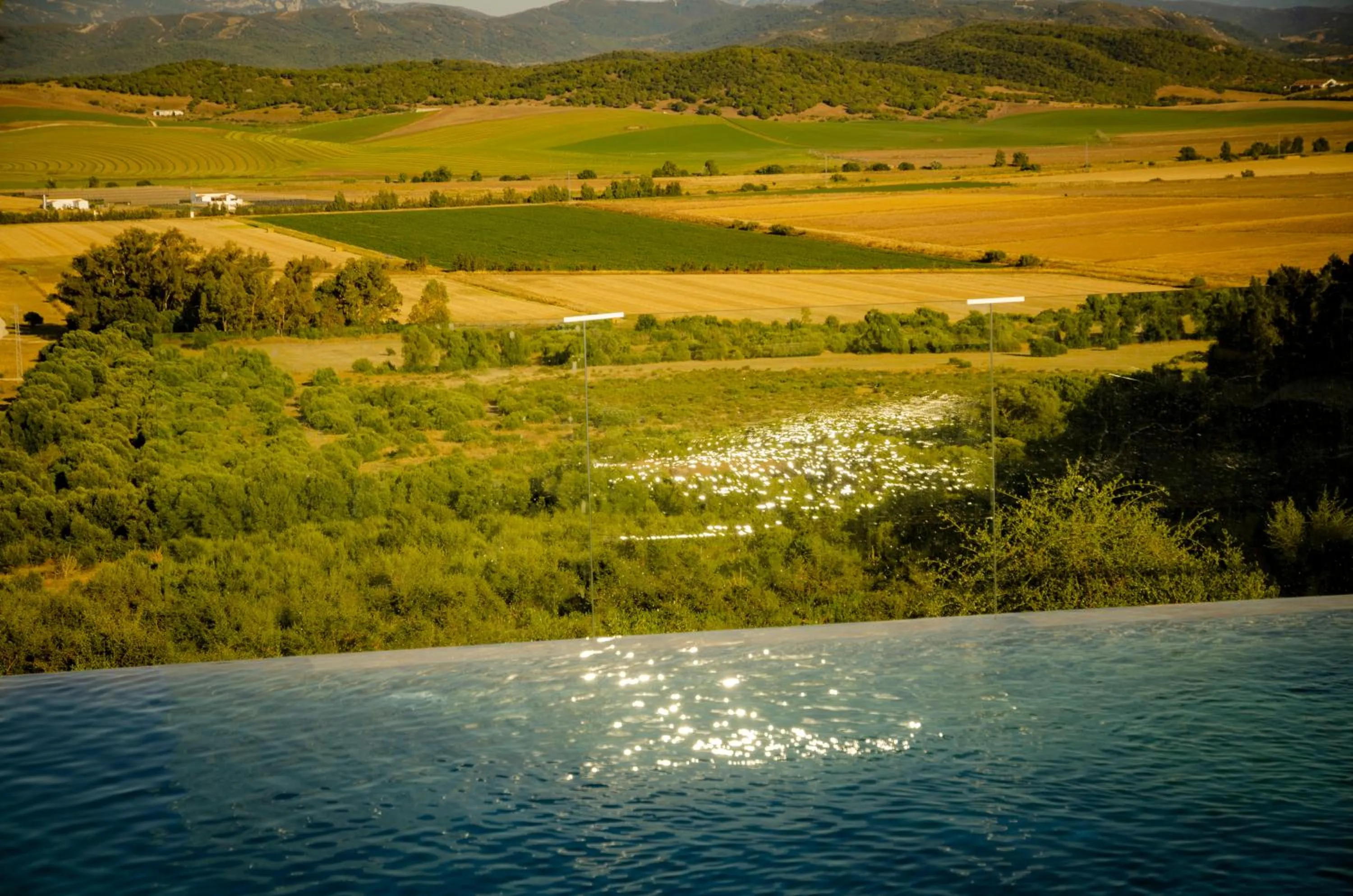Garden in Hostal Restaurante Benalup Golf