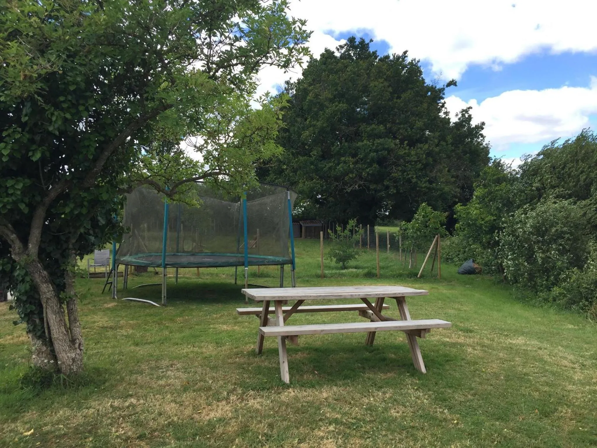 Garden in LA GRANDE THIBAUDIERE