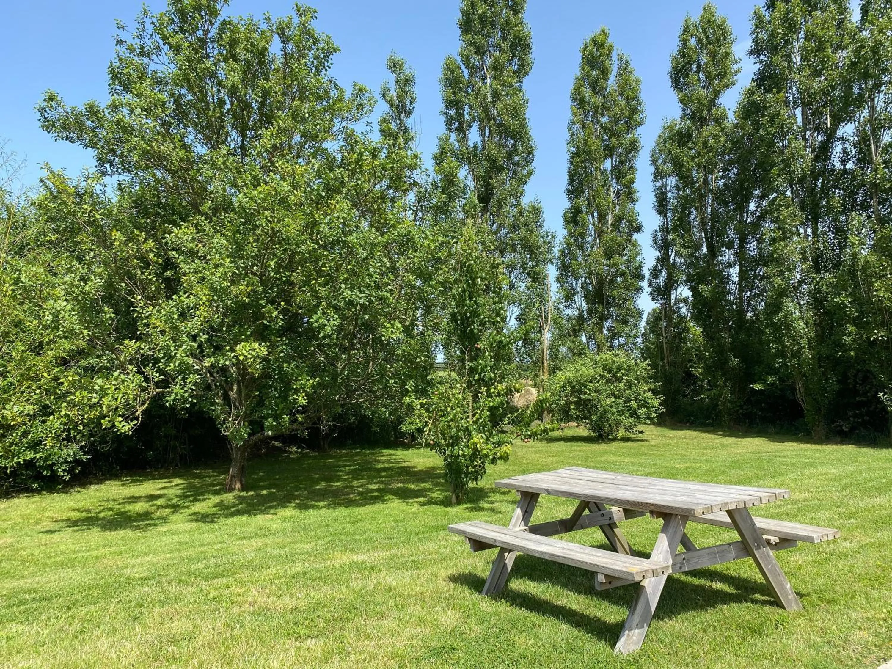 Garden view in LA GRANDE THIBAUDIERE