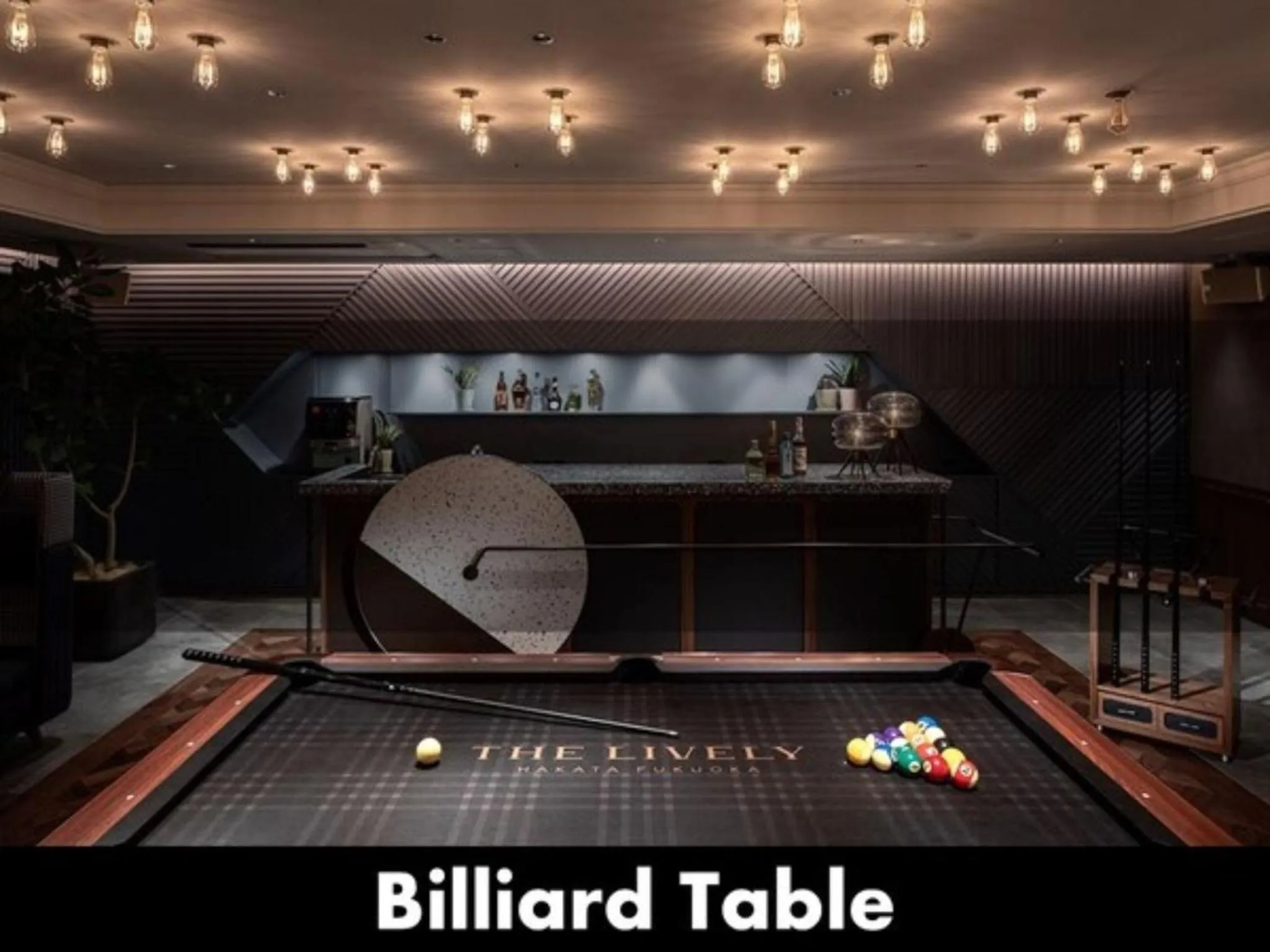 THE LIVELY HAKATA FUKUOKA - Vacation STAY 82642