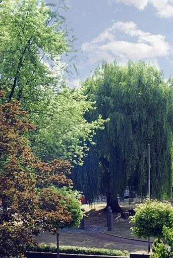 Area and facilities in Hotel Josten