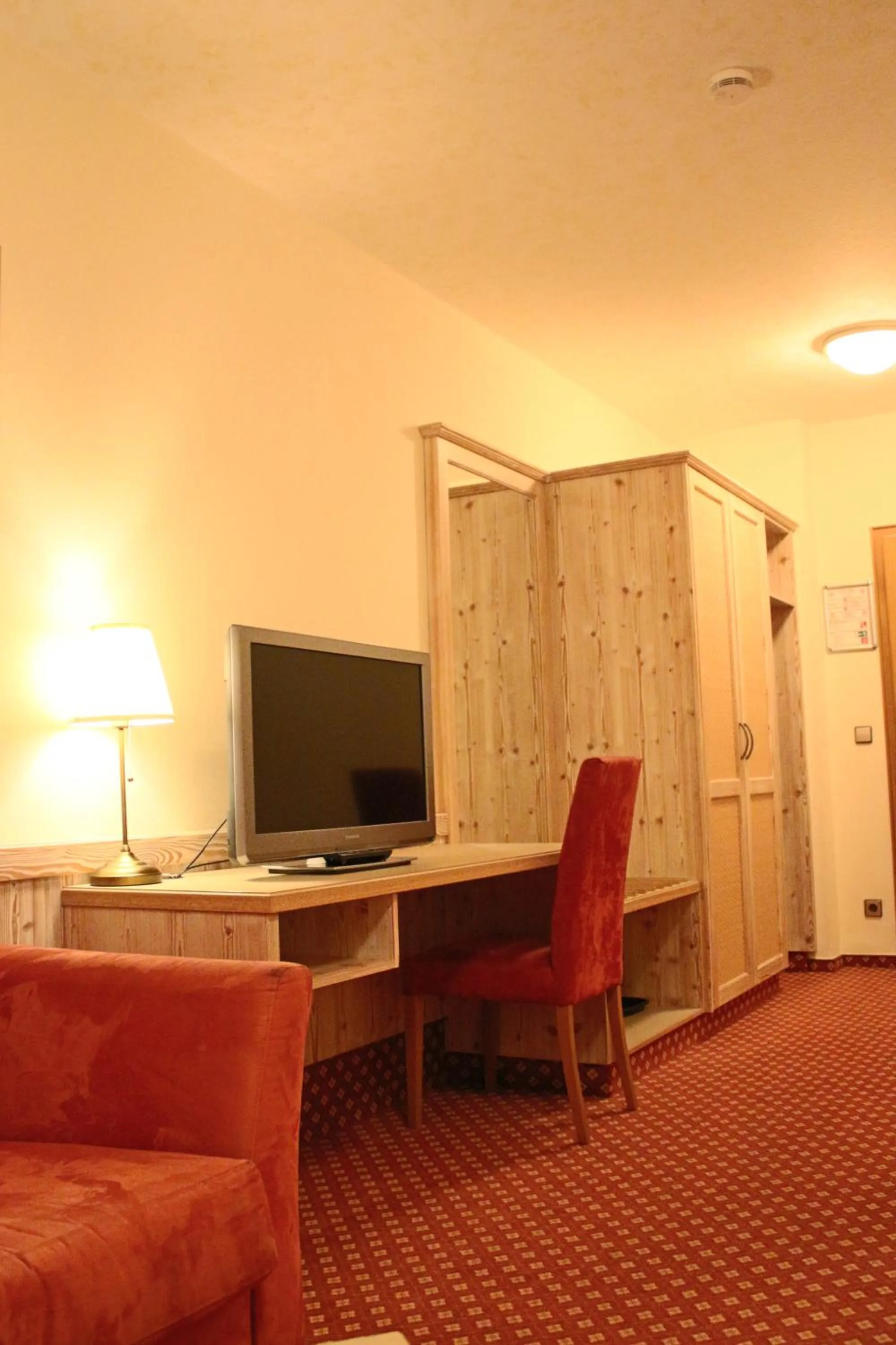 TV and multimedia in Central-Hotel