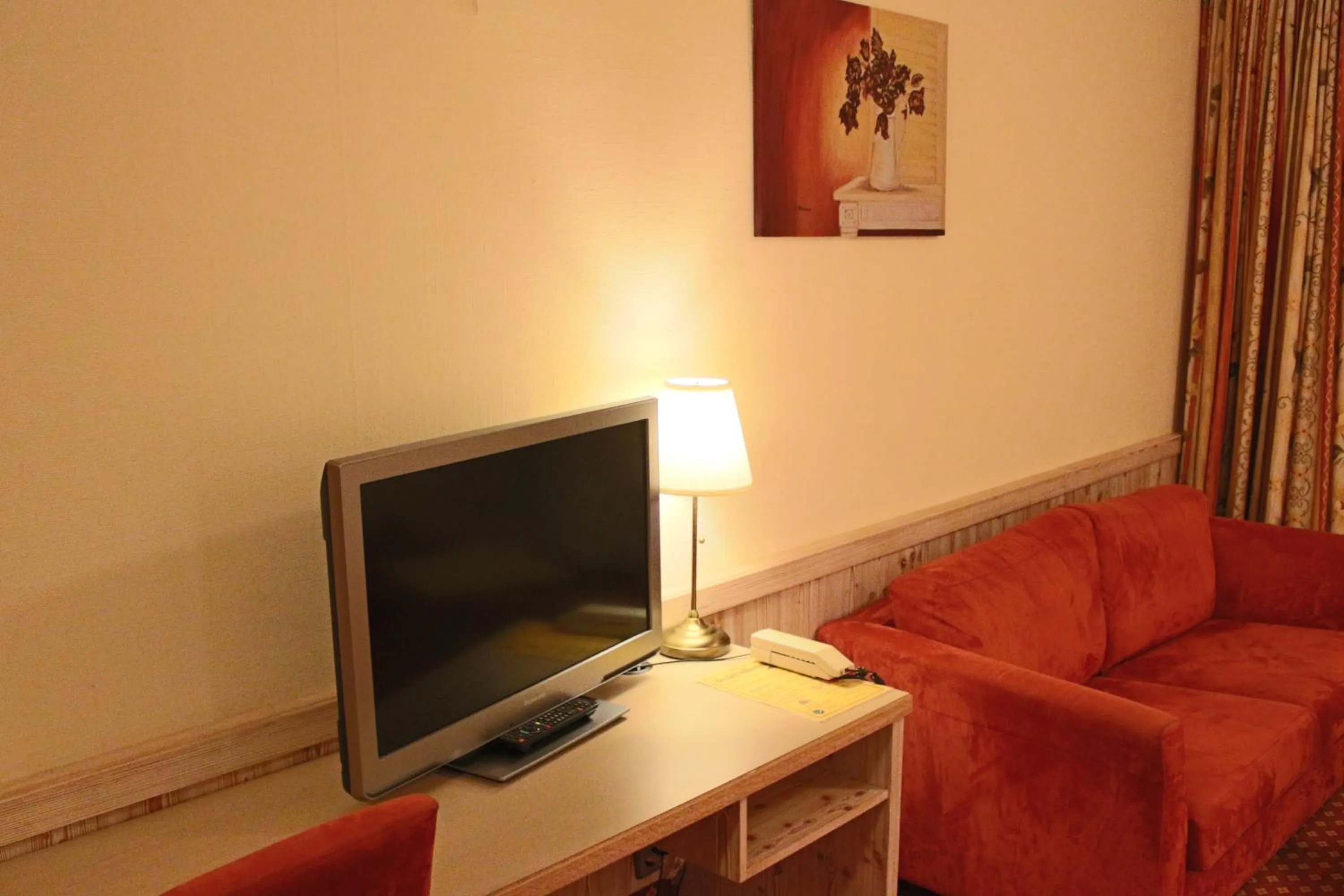 TV and multimedia in Central-Hotel