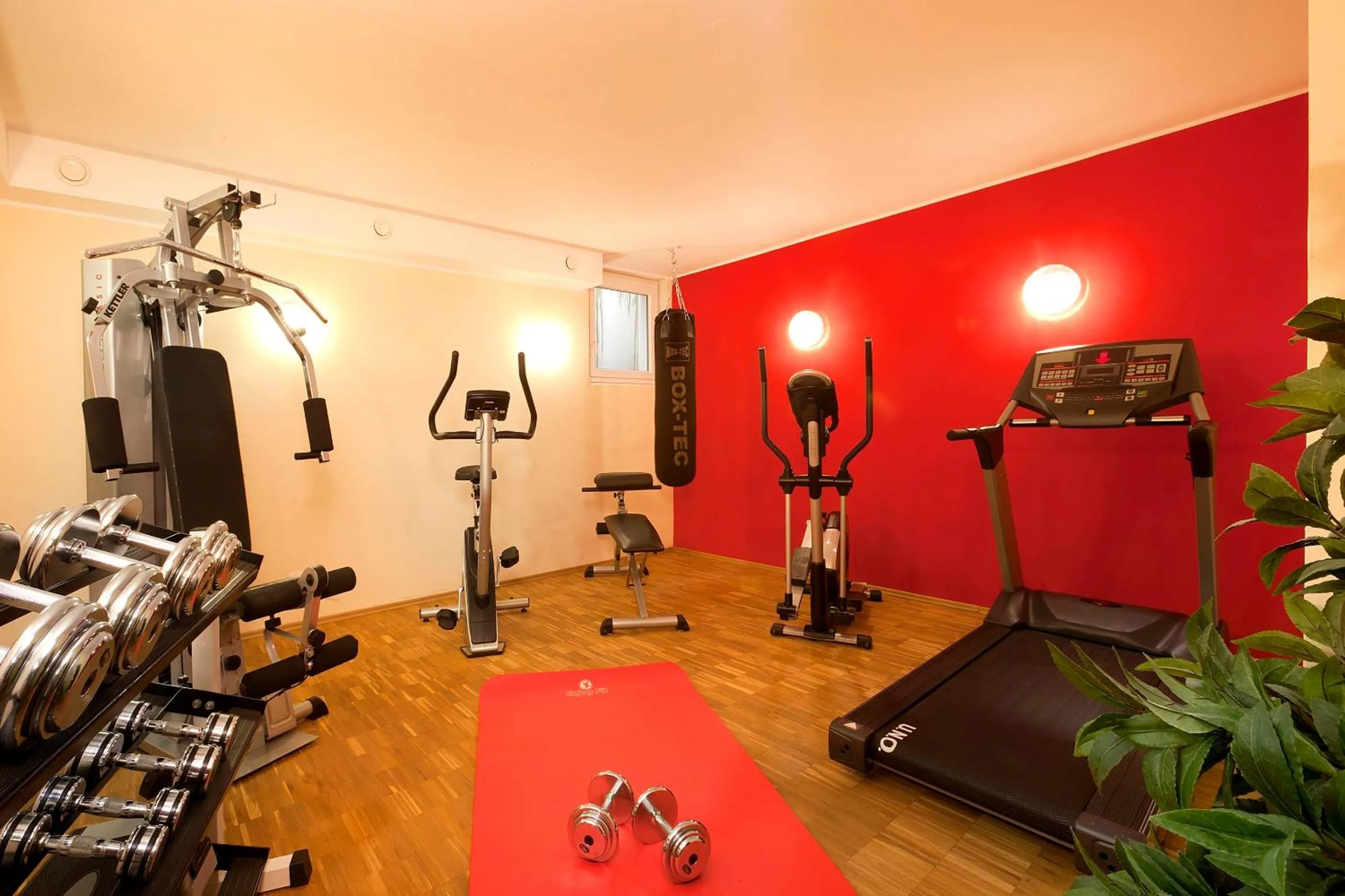 Fitness centre/facilities in Ringhotel Sonneck