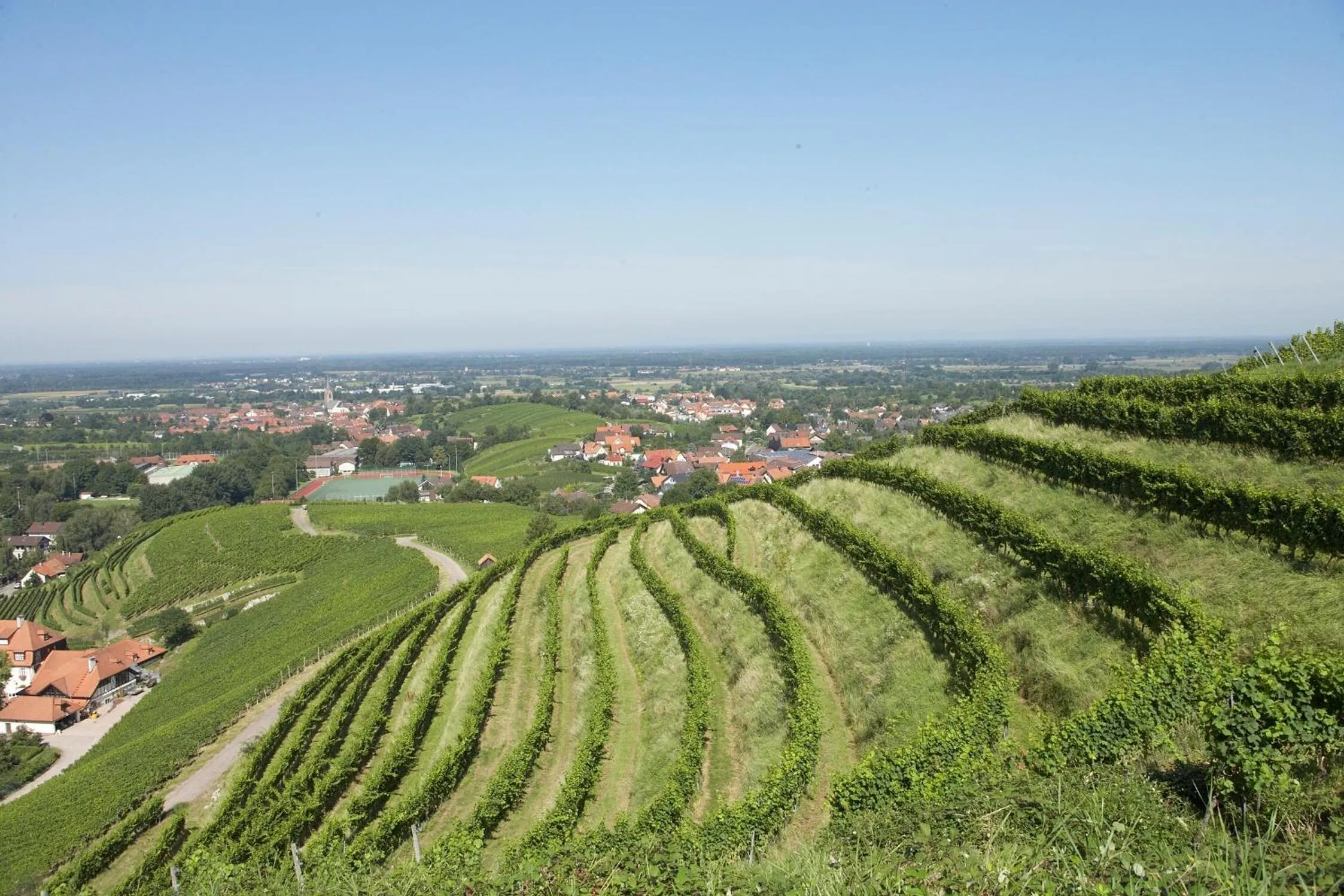Natural landscape in Hotel Residenz im Schloss Neuweier