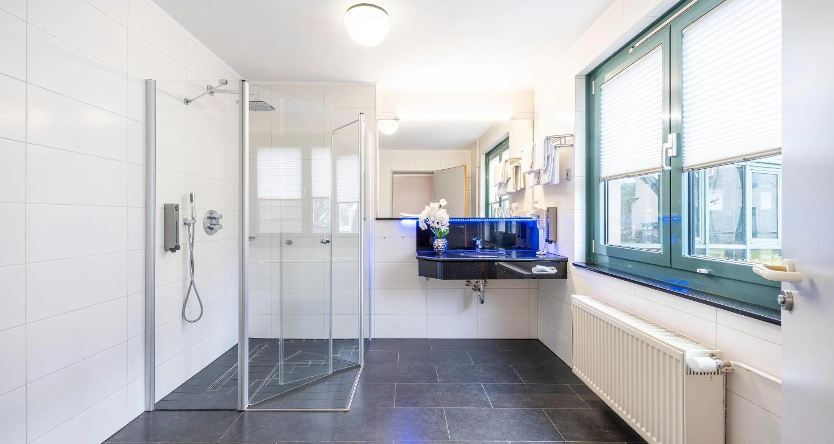 Shower in PLAZA INN Braunschweig City Süd