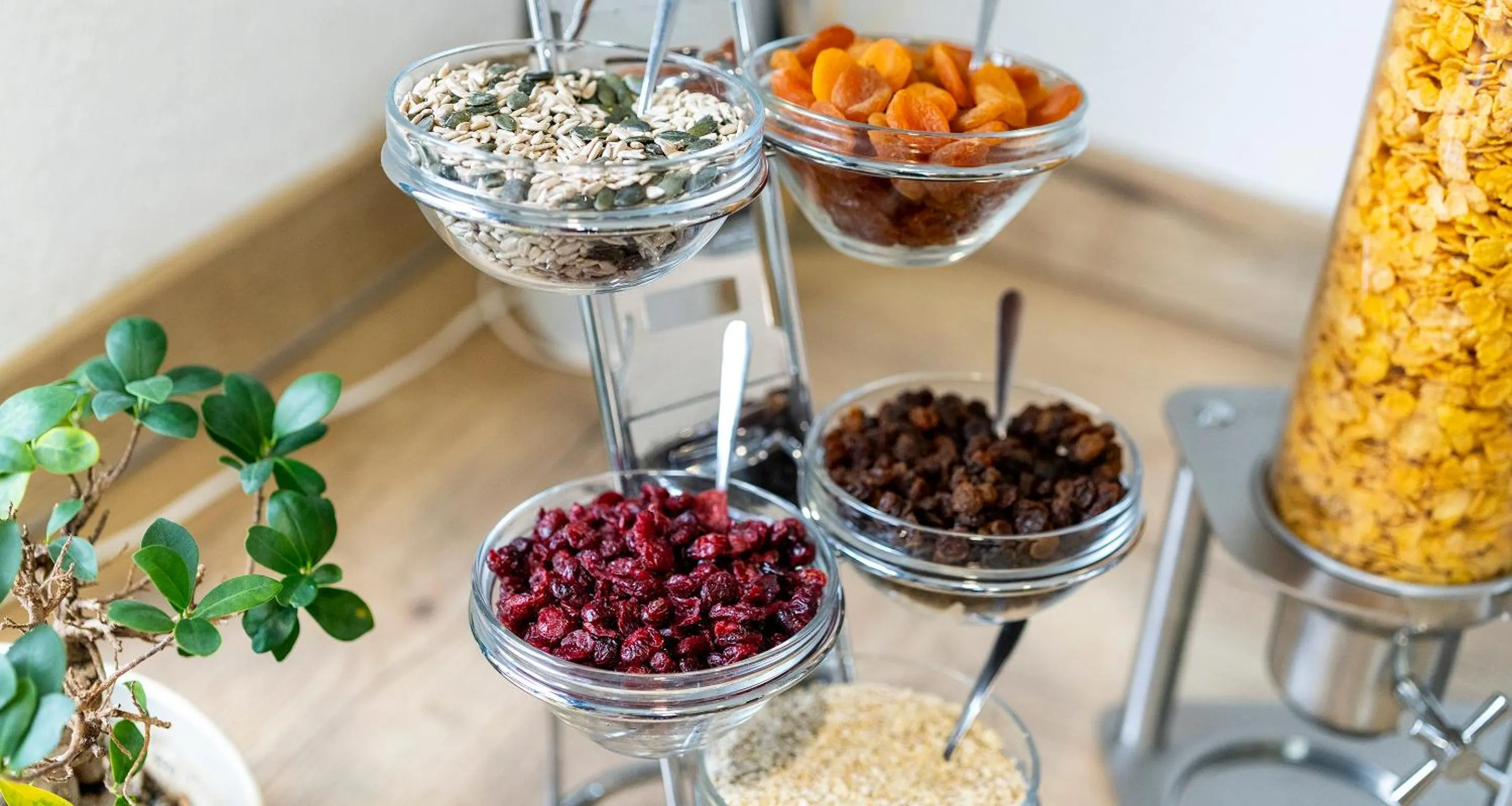 Buffet breakfast in PLAZA INN Braunschweig City Süd