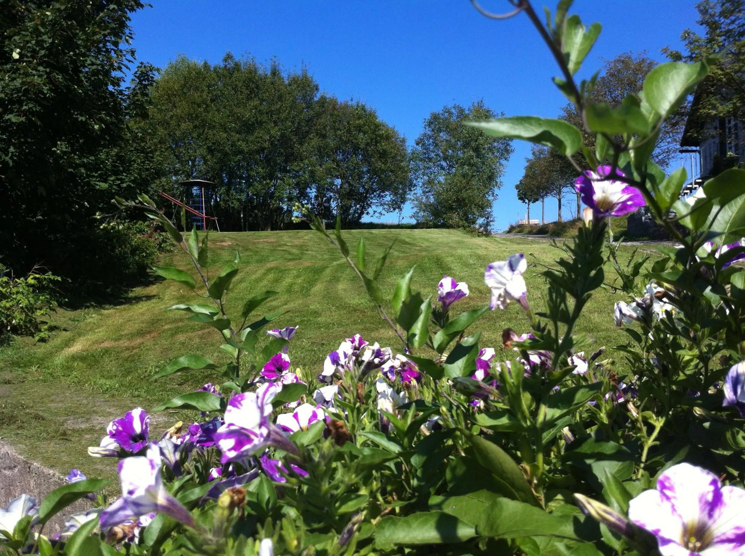Garden in Haus Rosenbaum am Rennsteig Gruppenhaus - Pension - Begegnungsstätte bis 50 Personen