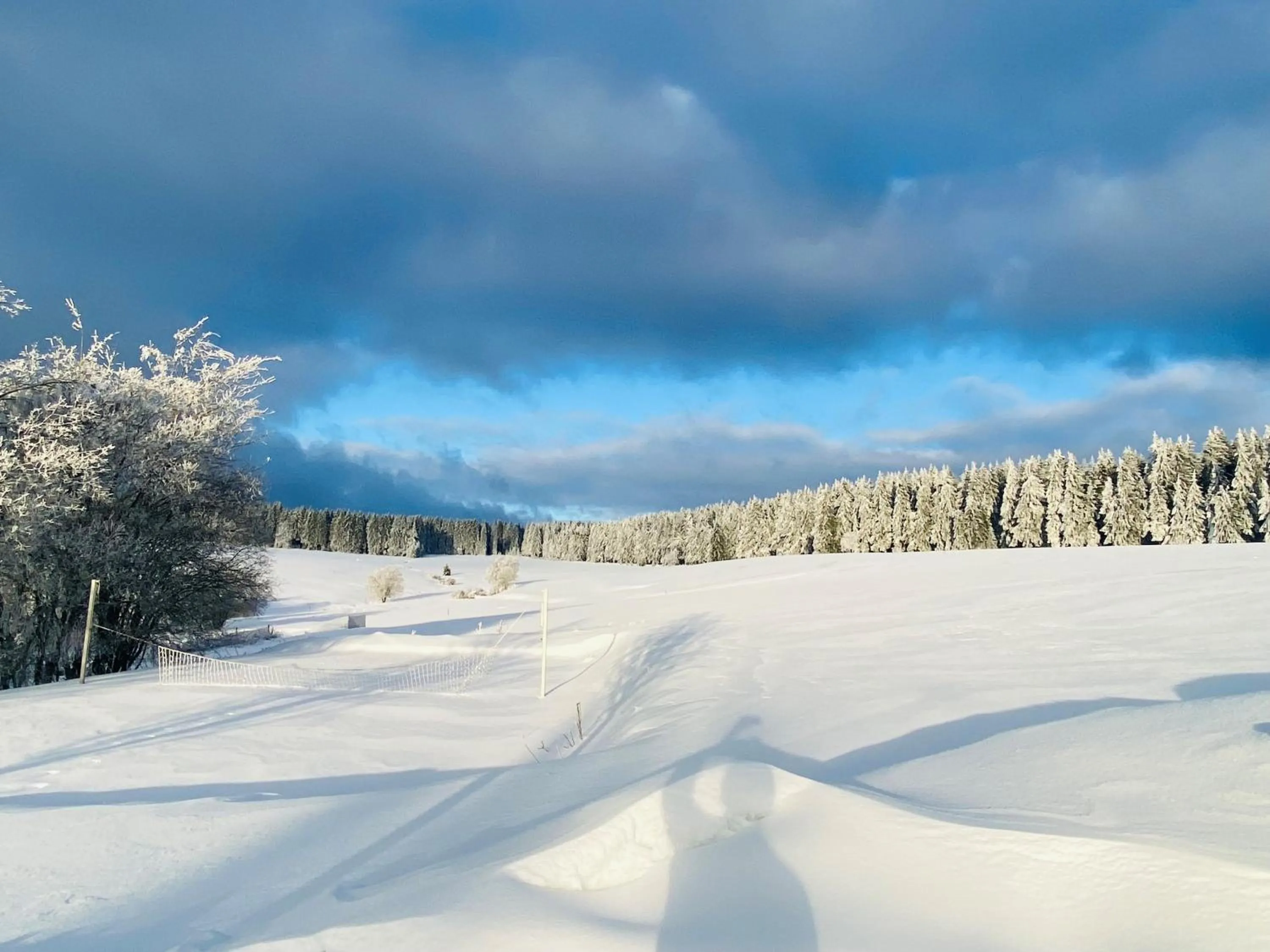 Natural landscape in Haus Rosenbaum am Rennsteig Gruppenhaus - Pension - Begegnungsstätte bis 50 Personen