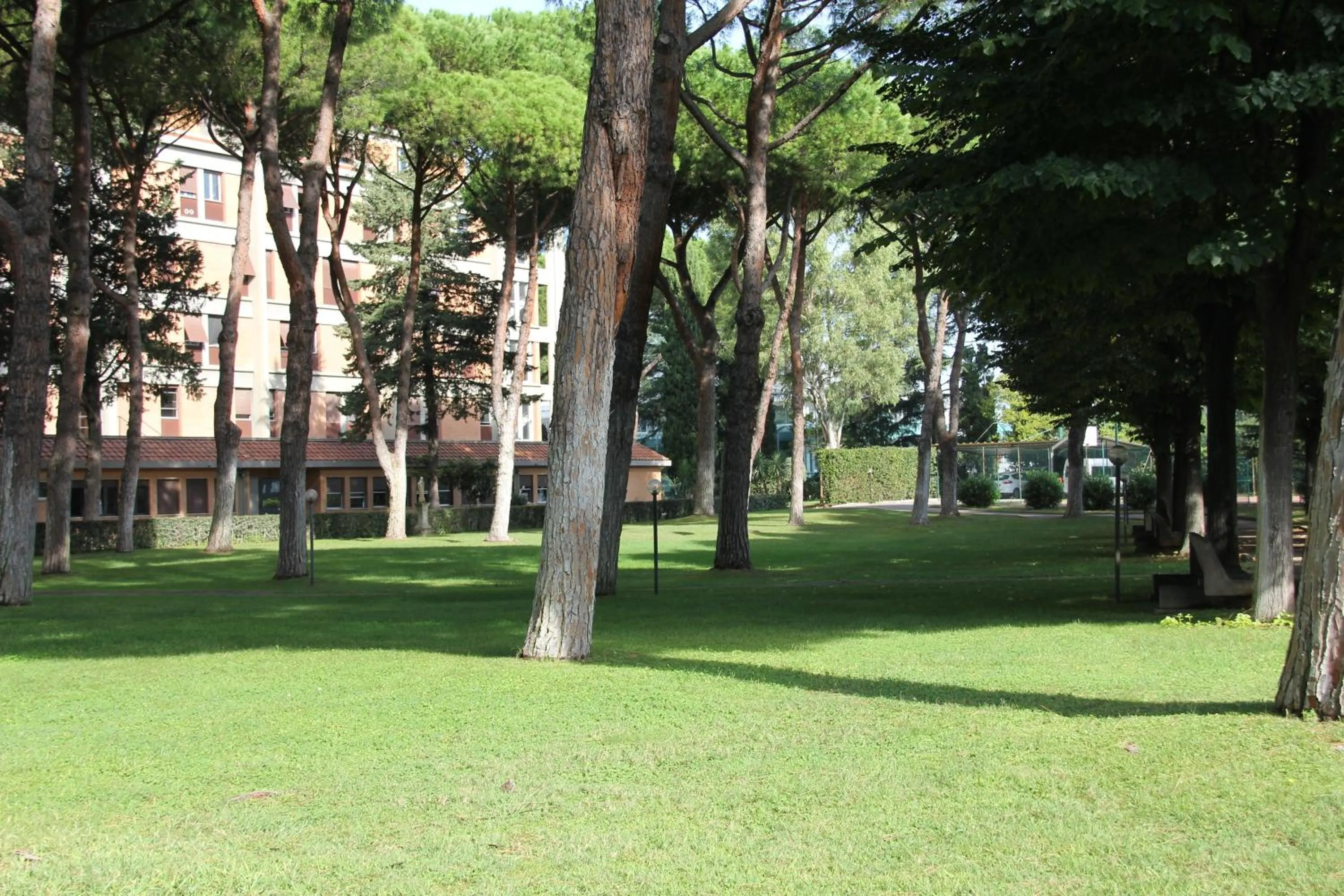 Garden in Serafico Guesthouse