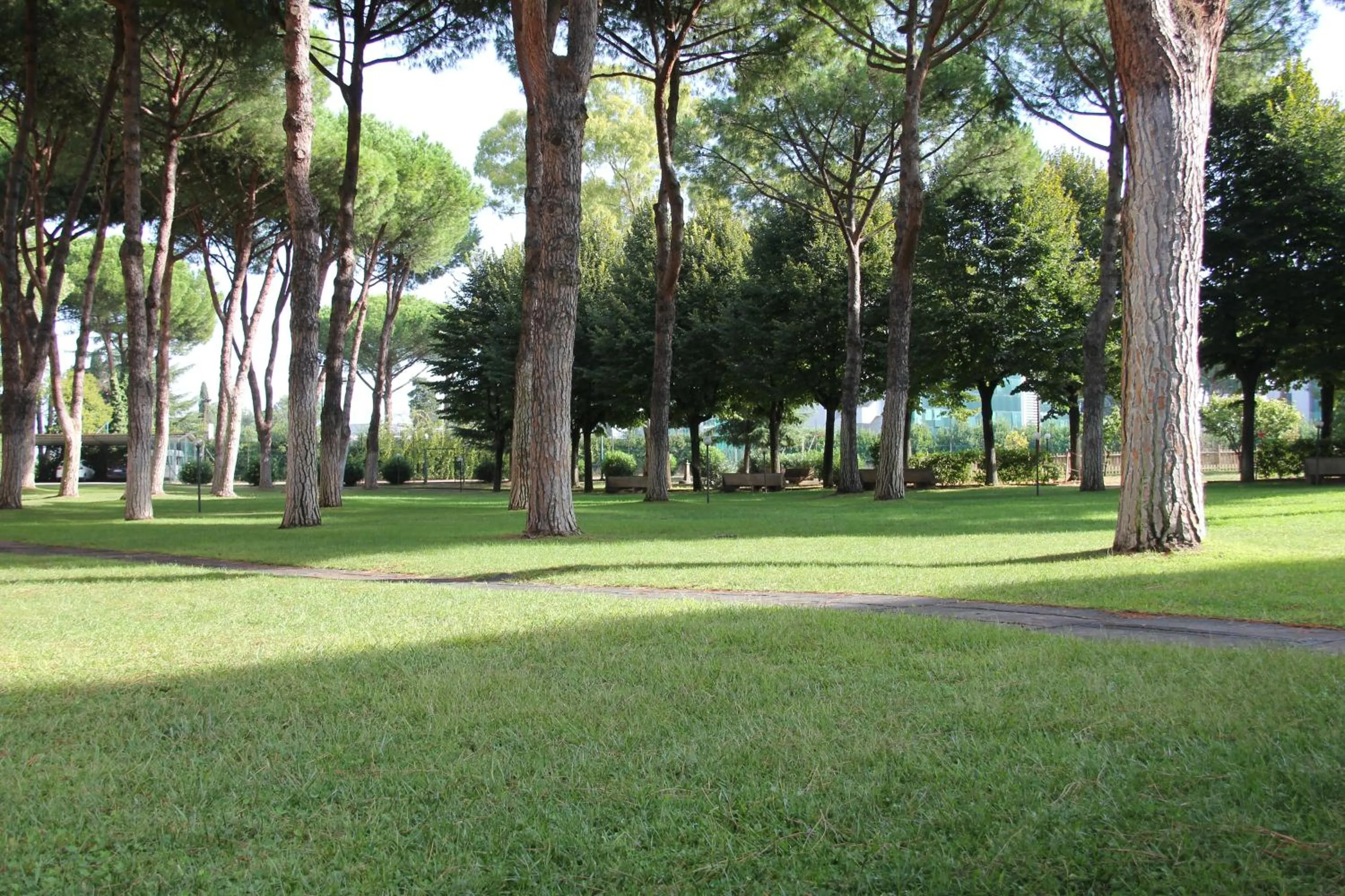 Garden in Serafico Guesthouse