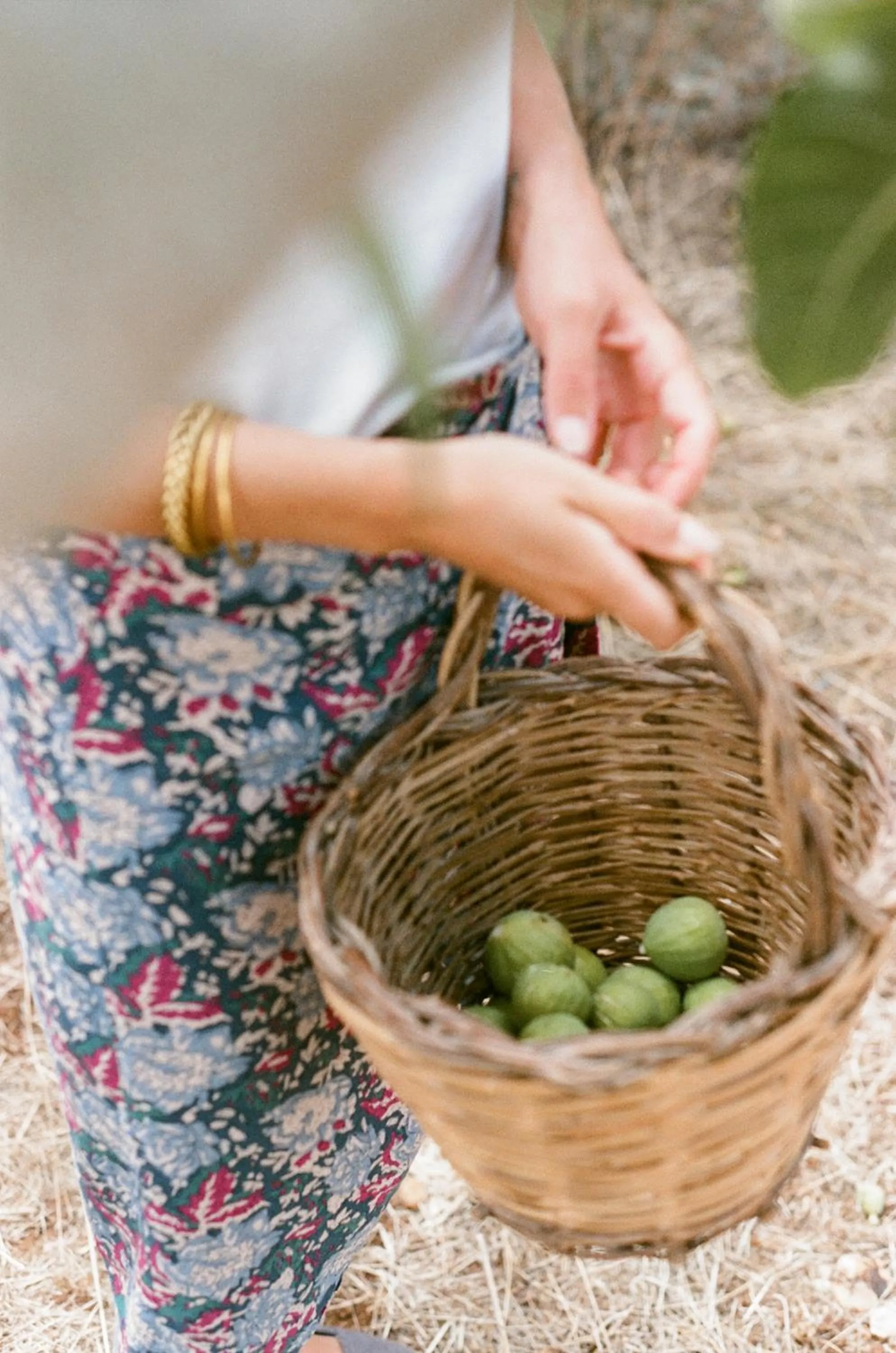 Day in Galeta Masseria