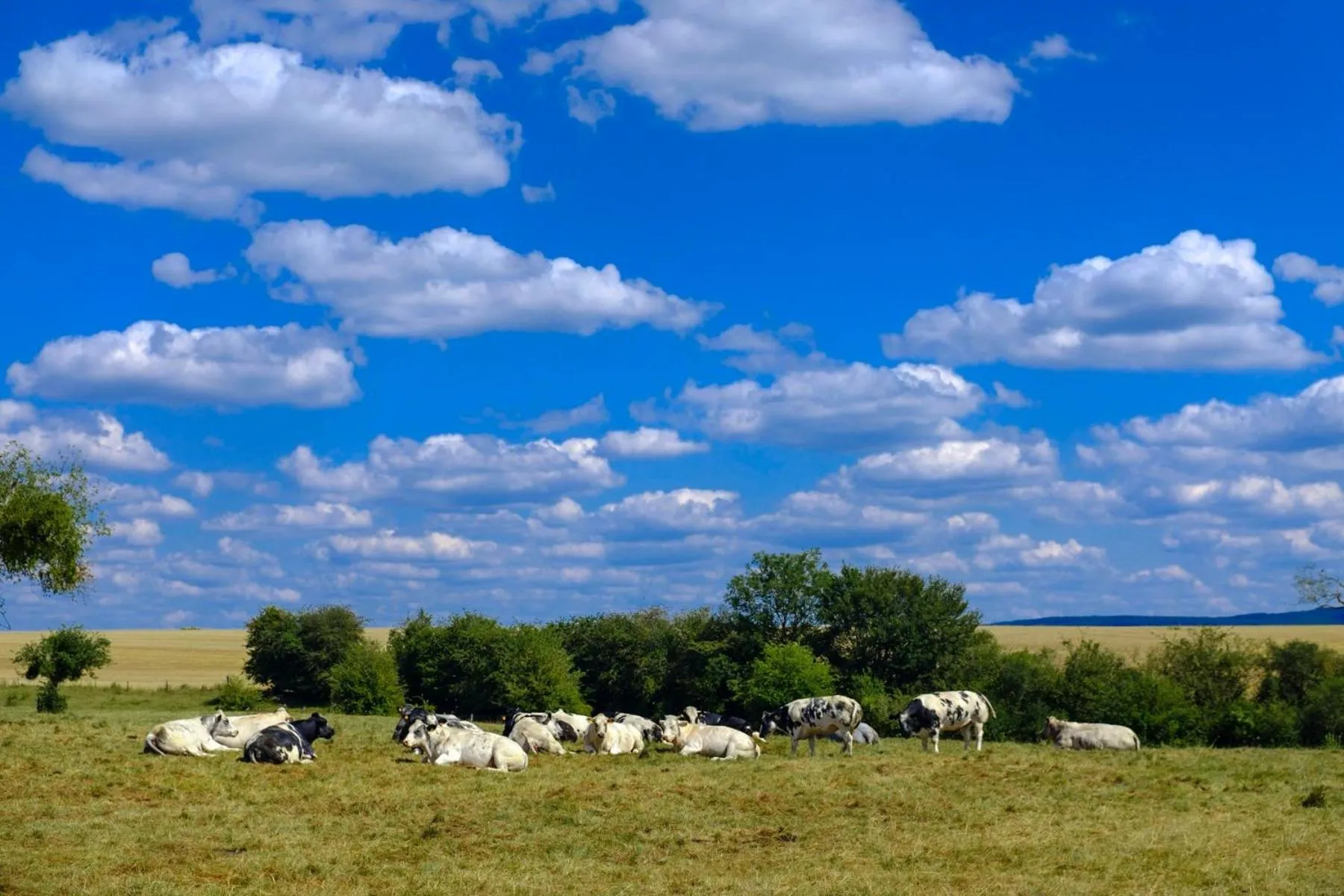 Neighbourhood in Hotel & Restaurant Maison Pal'Ange