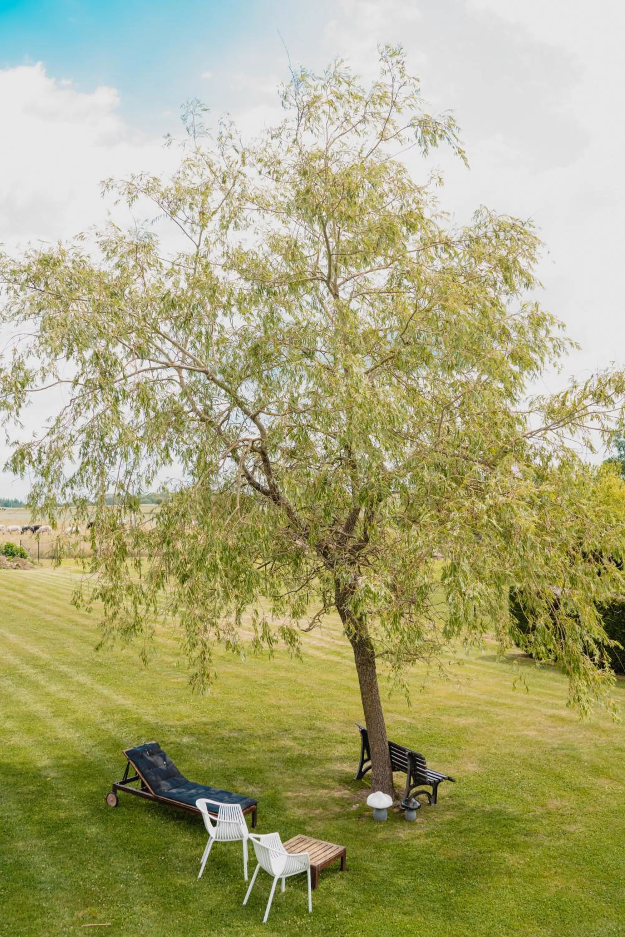 Garden in Hotel & Restaurant Maison Pal'Ange