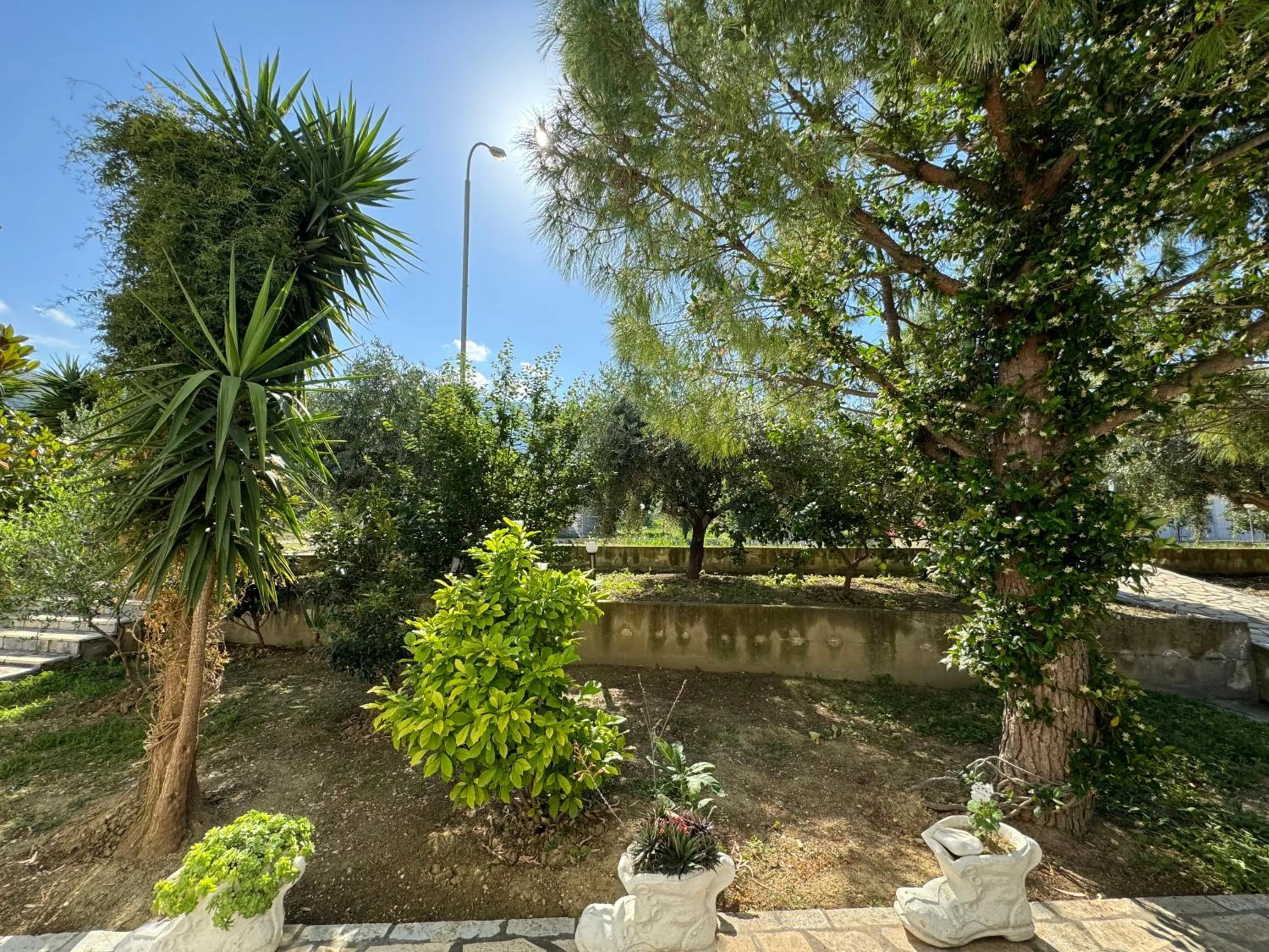 Garden in Hotel Cekodhima