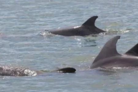 The Monterey Beach Resort