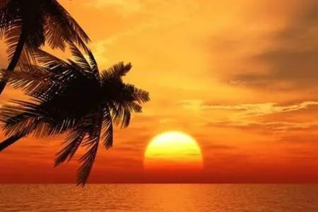 The Monterey Beach Resort