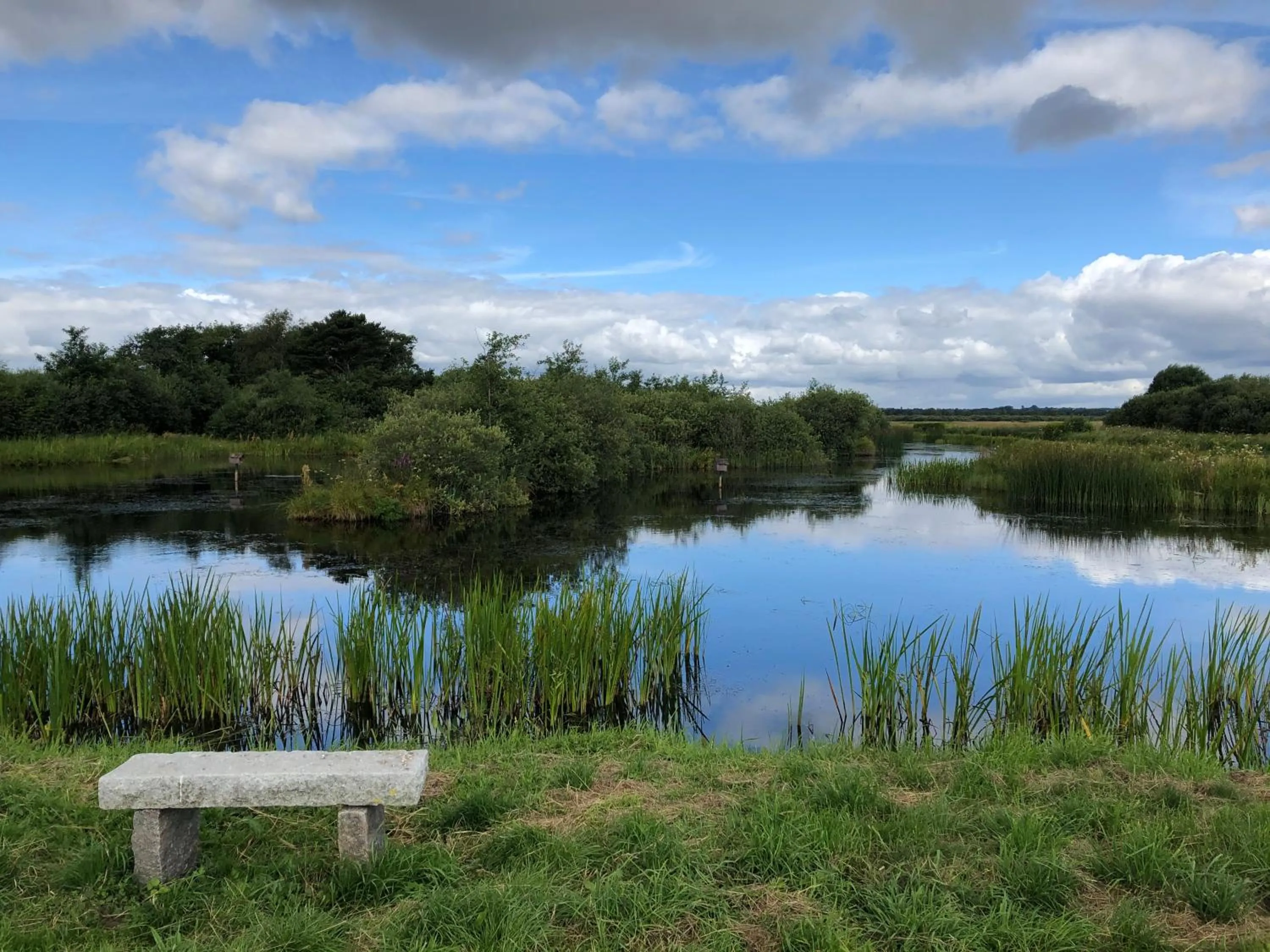 Natural landscape in Karensdal B & B
