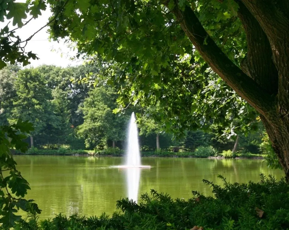 Natural landscape in Flairhotel Hubertus