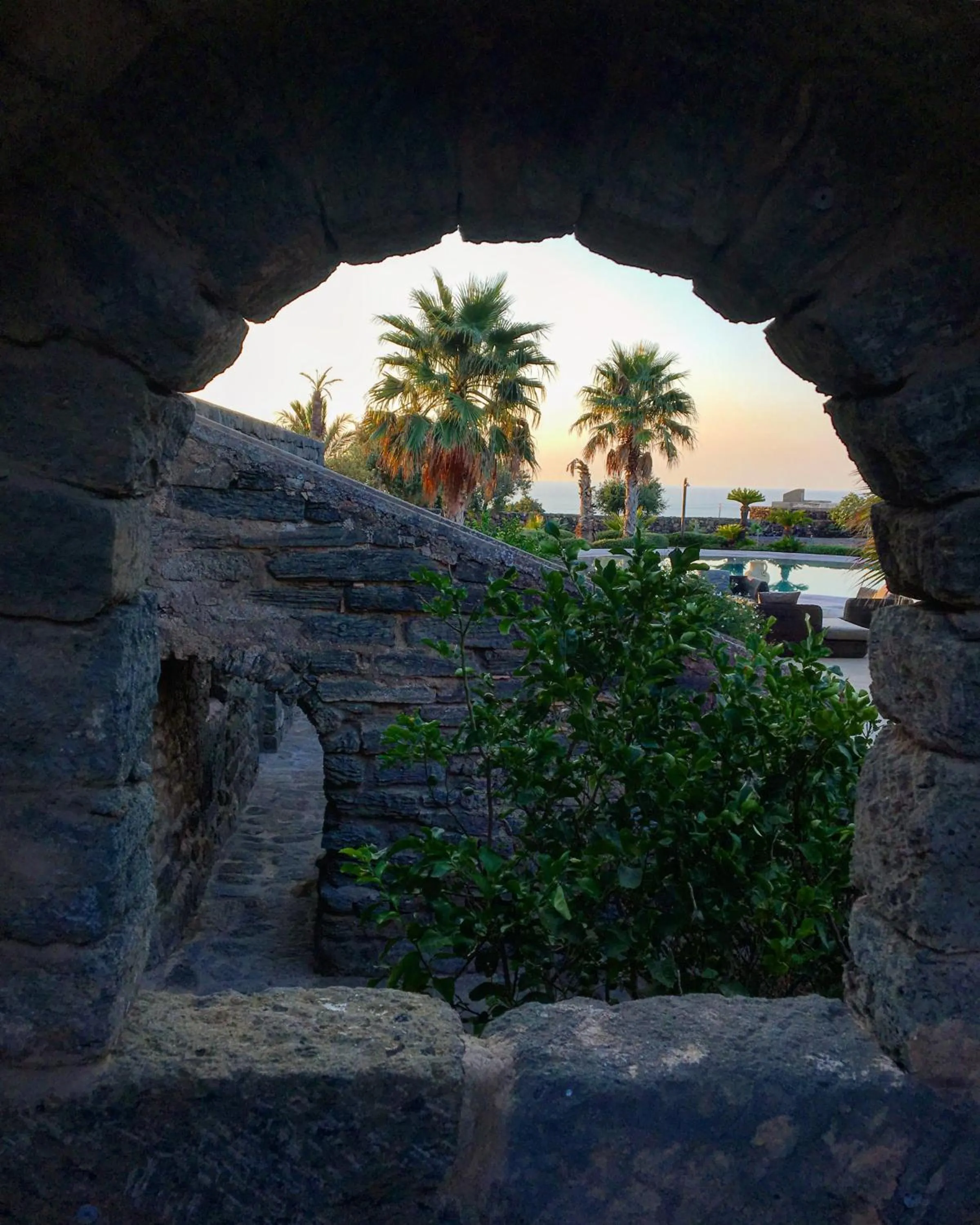 Garden in Resort Acropoli