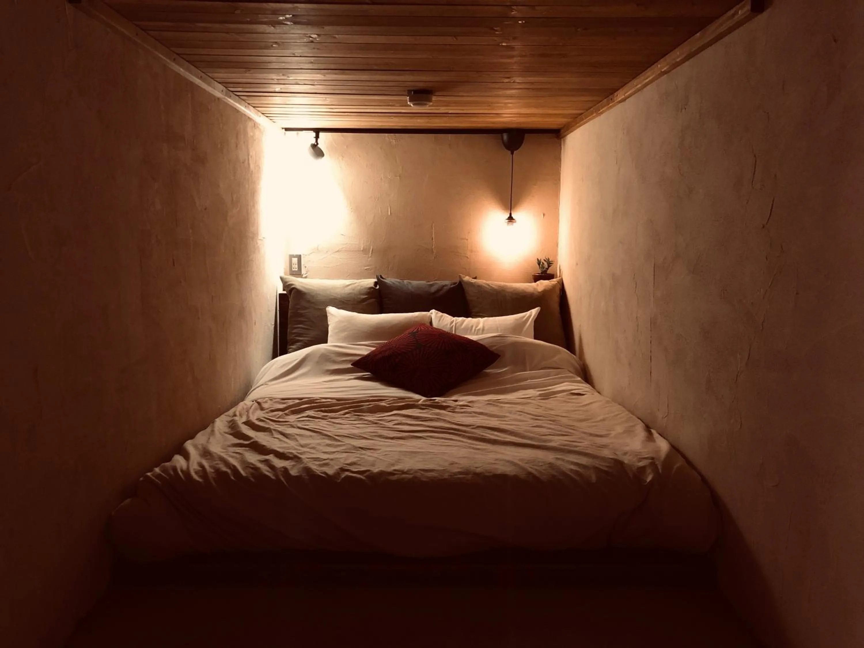 Photo of the whole room, Bed in RoheN ASHINOKO