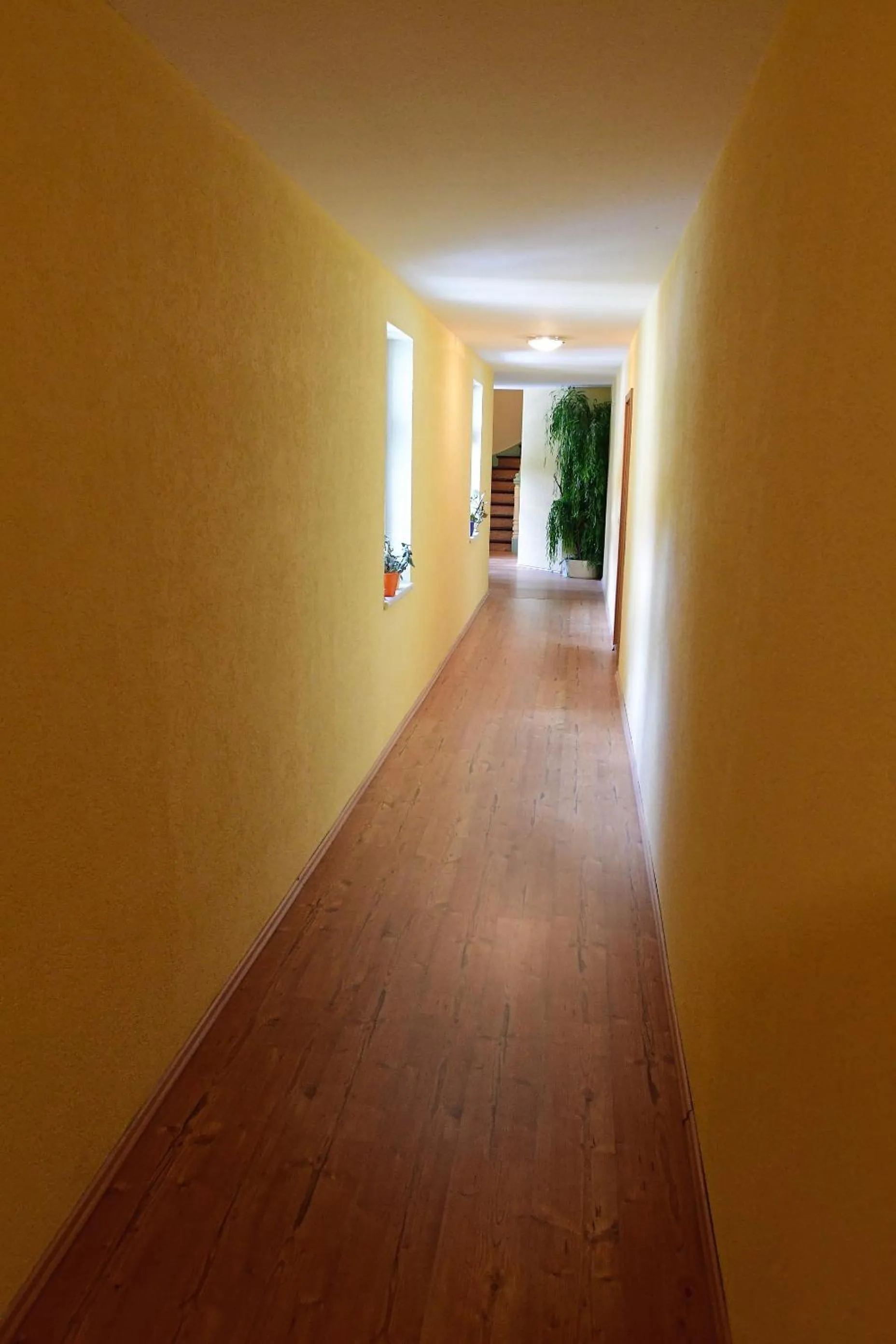 Decorative detail in Hotel garni Goldene Henne