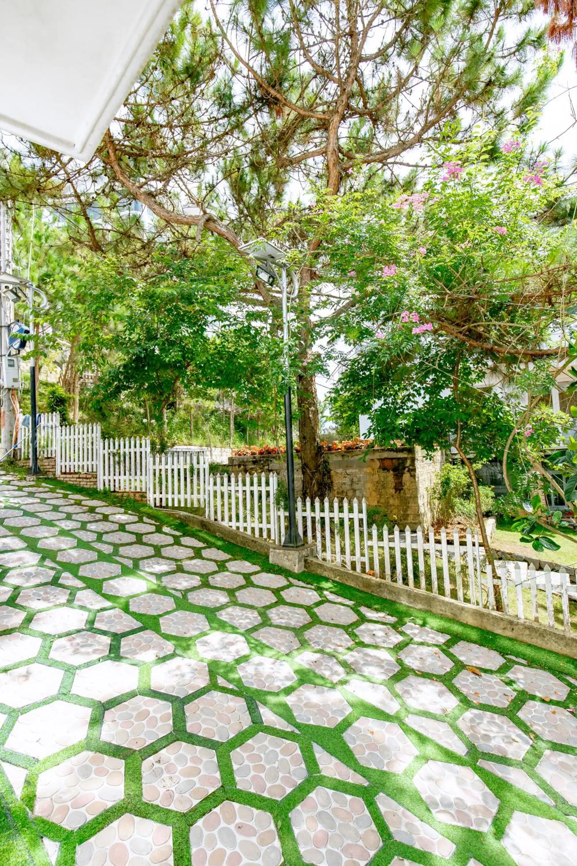 Garden view in Dallas Hotel Dalat