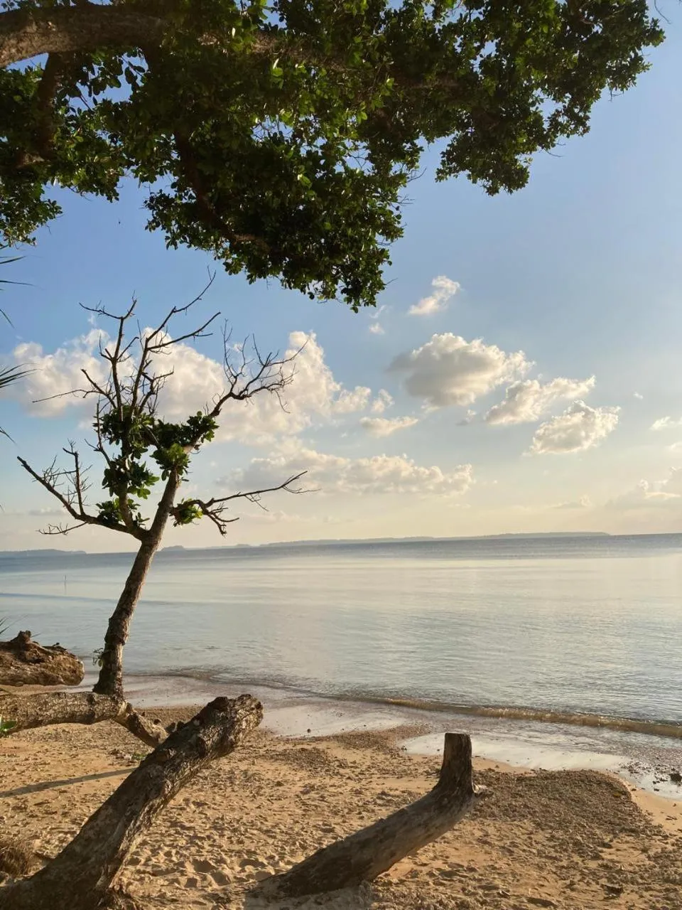 View (from property/room) in Purnima Resort Neil Island