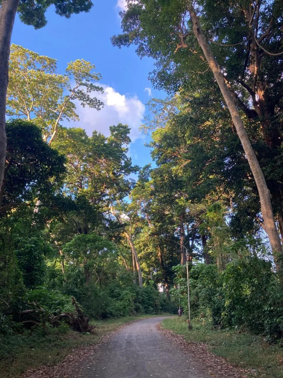 Street view in Purnima Resort Neil Island