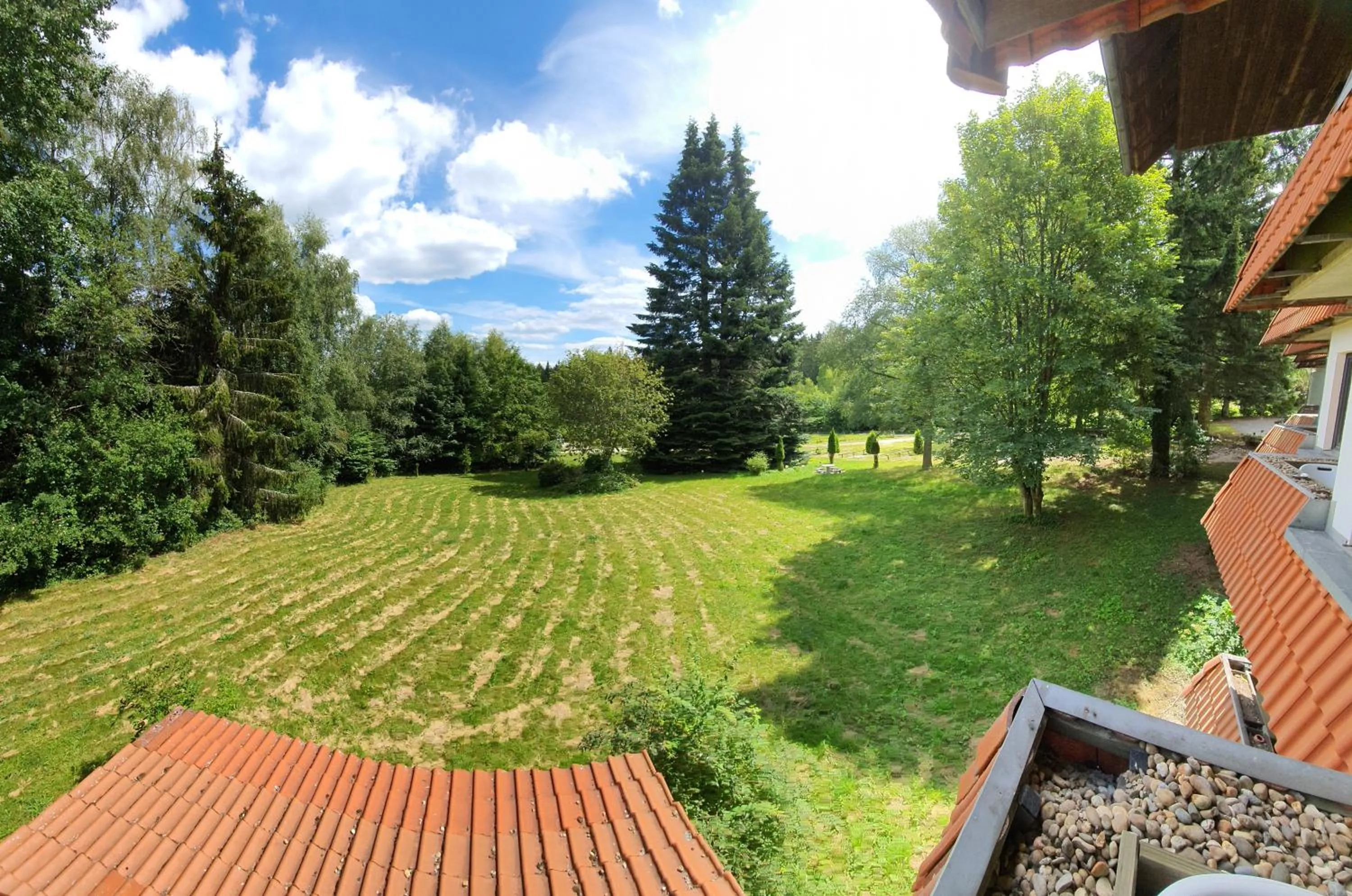View (from property/room) in Waldgasthaus am Schwarzenbruch