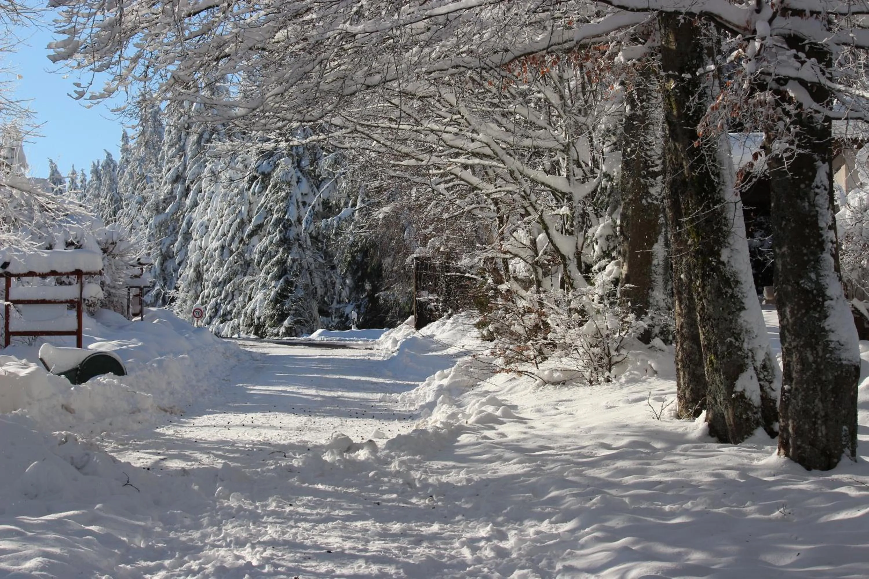 Staff in Waldgasthaus am Schwarzenbruch