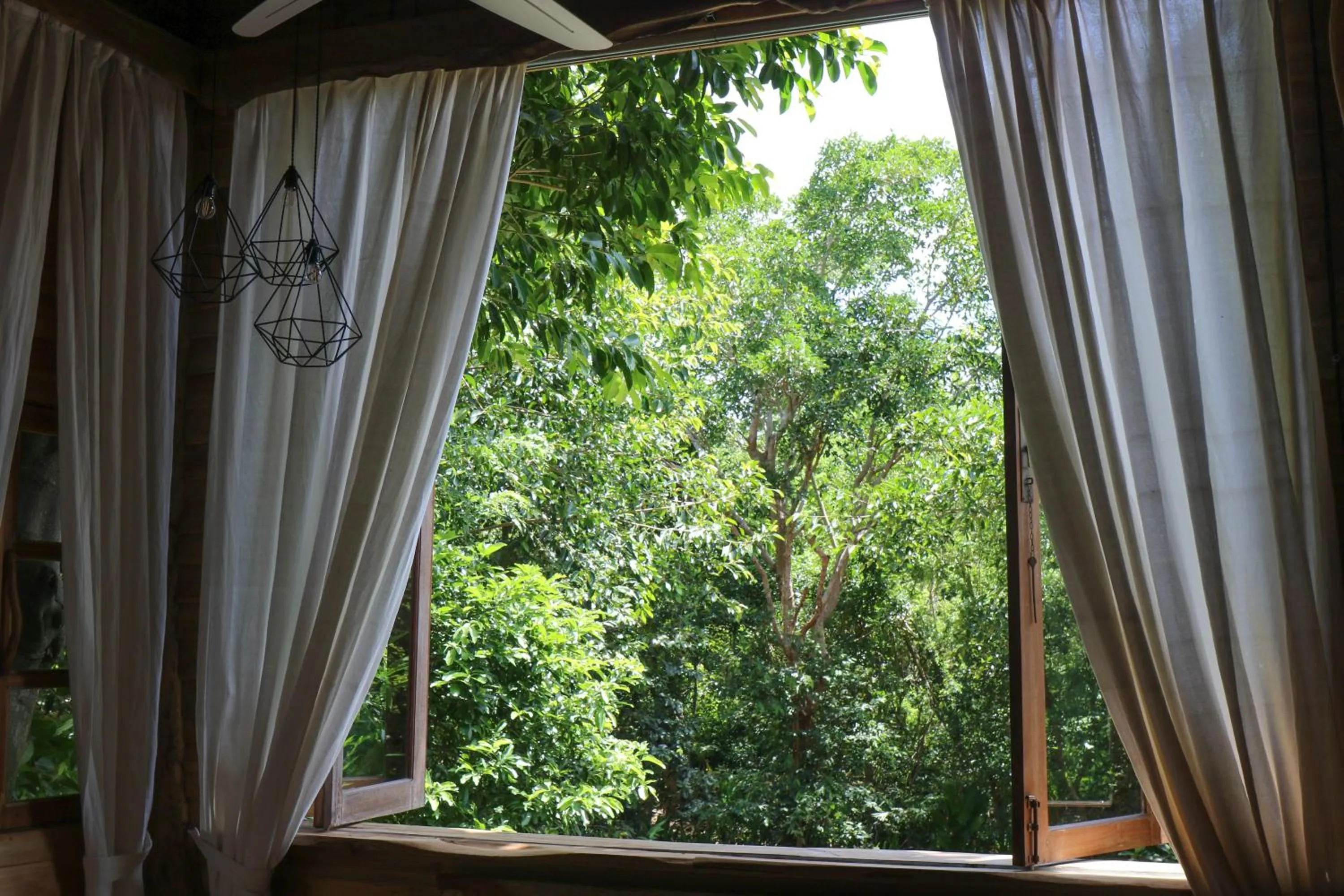 View (from property/room) in Roots Tree House