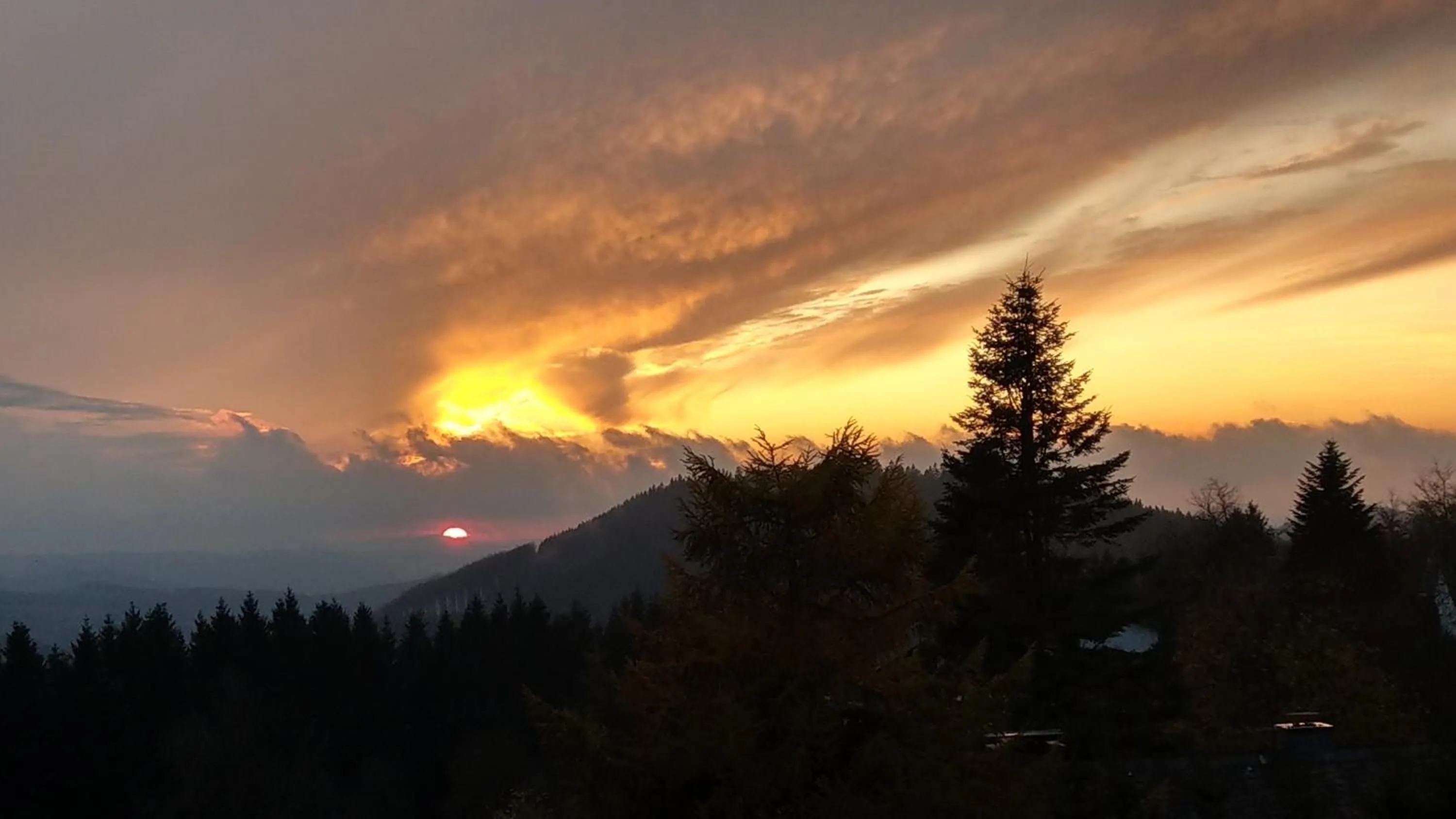 Natural landscape in Berghotel Lenneplätze Winterberg
