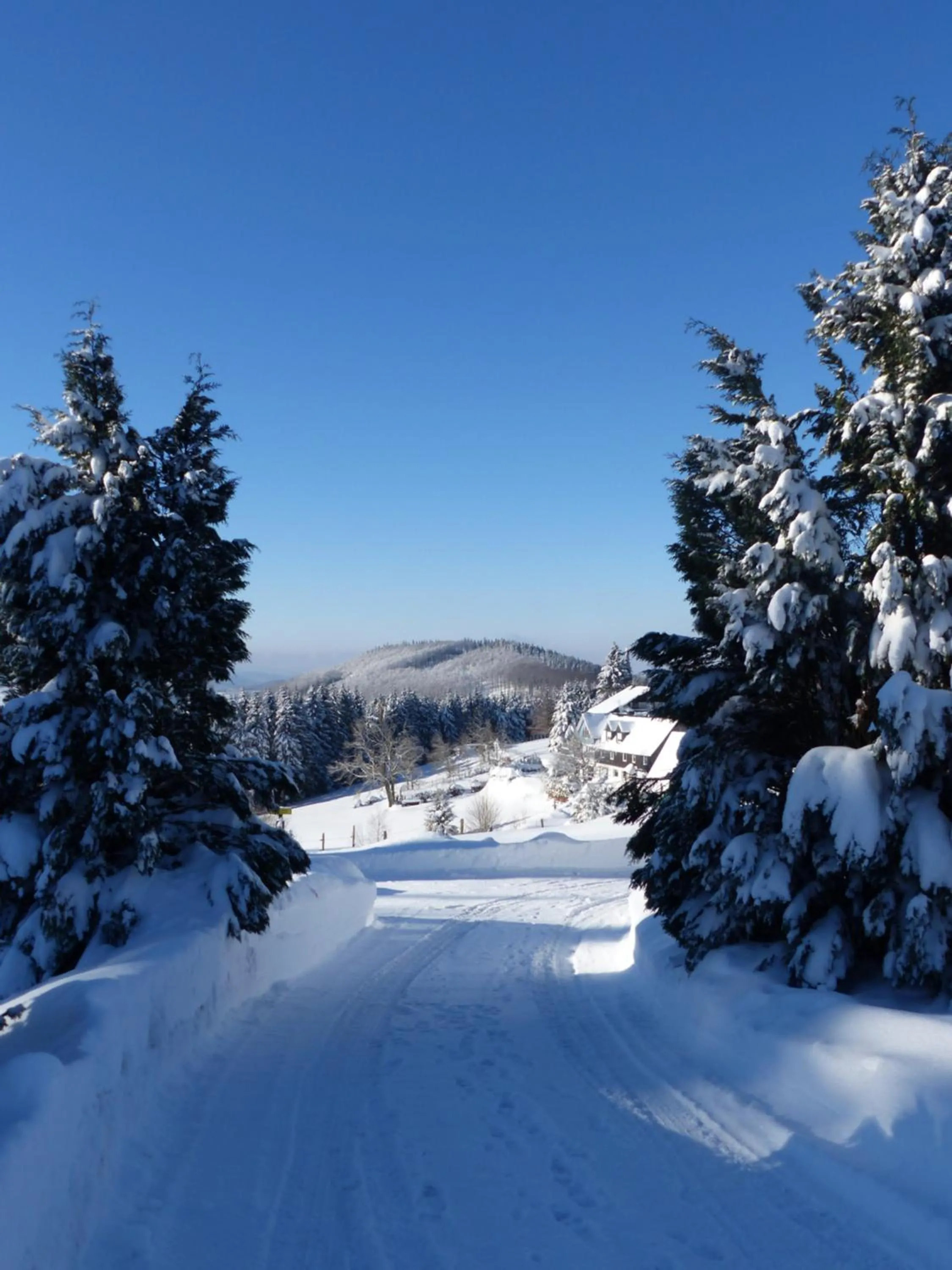 Natural landscape in Berghotel Lenneplätze Winterberg